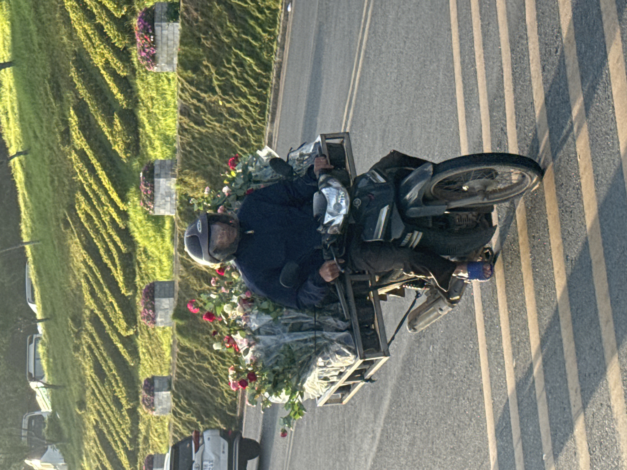 A person wearing a dark jacket and helmet rides a motorcycle loaded with a large bunch of roses. The motorcycle, a Yamaha, is black with silver accents and is stopped at a crosswalk. The person's left hand is on the handlebar, and their right hand is resting on the handlebar as well. The roses are wrapped in plastic and tied to a metal rack attached to the back of the motorcycle. The background shows a green, terraced hillside with some buildings visible at the top. In the foreground, the crosswalk markings are clearly visible. This scene is typical of flower vendors in Da Lat, Vietnam, a city known for its flower cultivation.