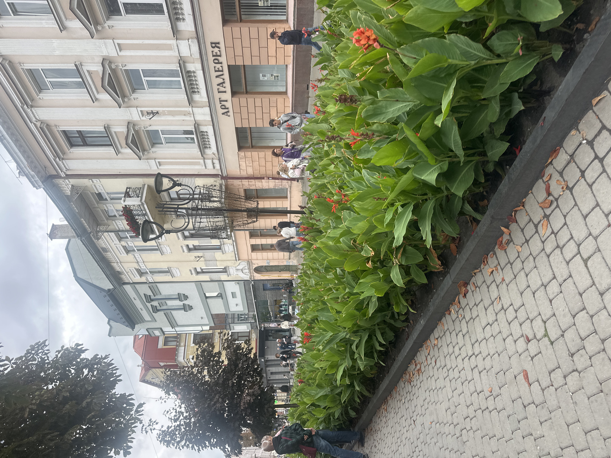 The image captures a view of Ternopil's central street, specifically the area near the "Art Gallery." A wide sidewalk paved with grey interlocking bricks runs along the left side of the frame. A vibrant flower bed filled with large green leaves and scattered orange flowers borders the sidewalk, separating it from the street.
Several people are visible walking on the sidewalk and crossing the street. On the left, two individuals are standing, one with a red bag slung over their shoulder. Further down the sidewalk, a group of people are walking towards the background, and a man in a grey hoodie is walking towards the foreground. On the right side of the street, a man in a dark jacket is walking away from the camera.
The buildings lining the street display a mix of architectural styles, with ornate facades and large windows. One building features a sign that reads "АРТ ГАЛЕРЕЯ" (Art Gallery) in large, dark letters. A street lamp with a decorative basket is also present. The sky is overcast, suggesting a cloudy day. Fallen leaves are scattered on the sidewalk, indicating it may be autumn.
