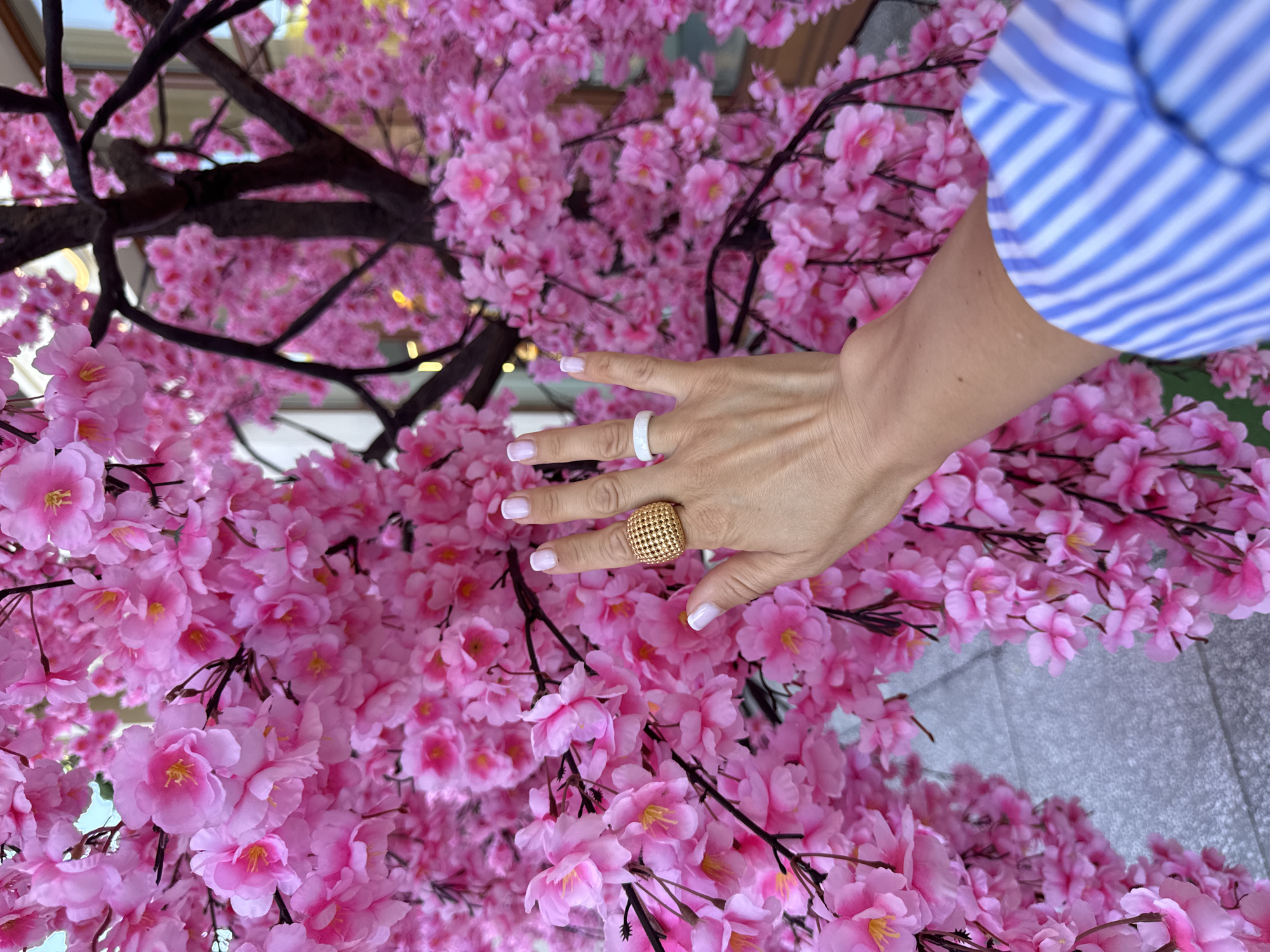 In Sochi, Russia, a close-up shot features a person's hand among a profusion of artificial pink cherry blossoms. The hand, adorned with a large, textured gold ring and a simple white ring, gently touches the delicate petals. The backdrop is a dense arrangement of the pink blossoms, with dark branches of the tree visible. The person is wearing a blue and white striped garment, part of which is visible in the lower right corner. The ground beneath appears to be paved with light-colored tiles.