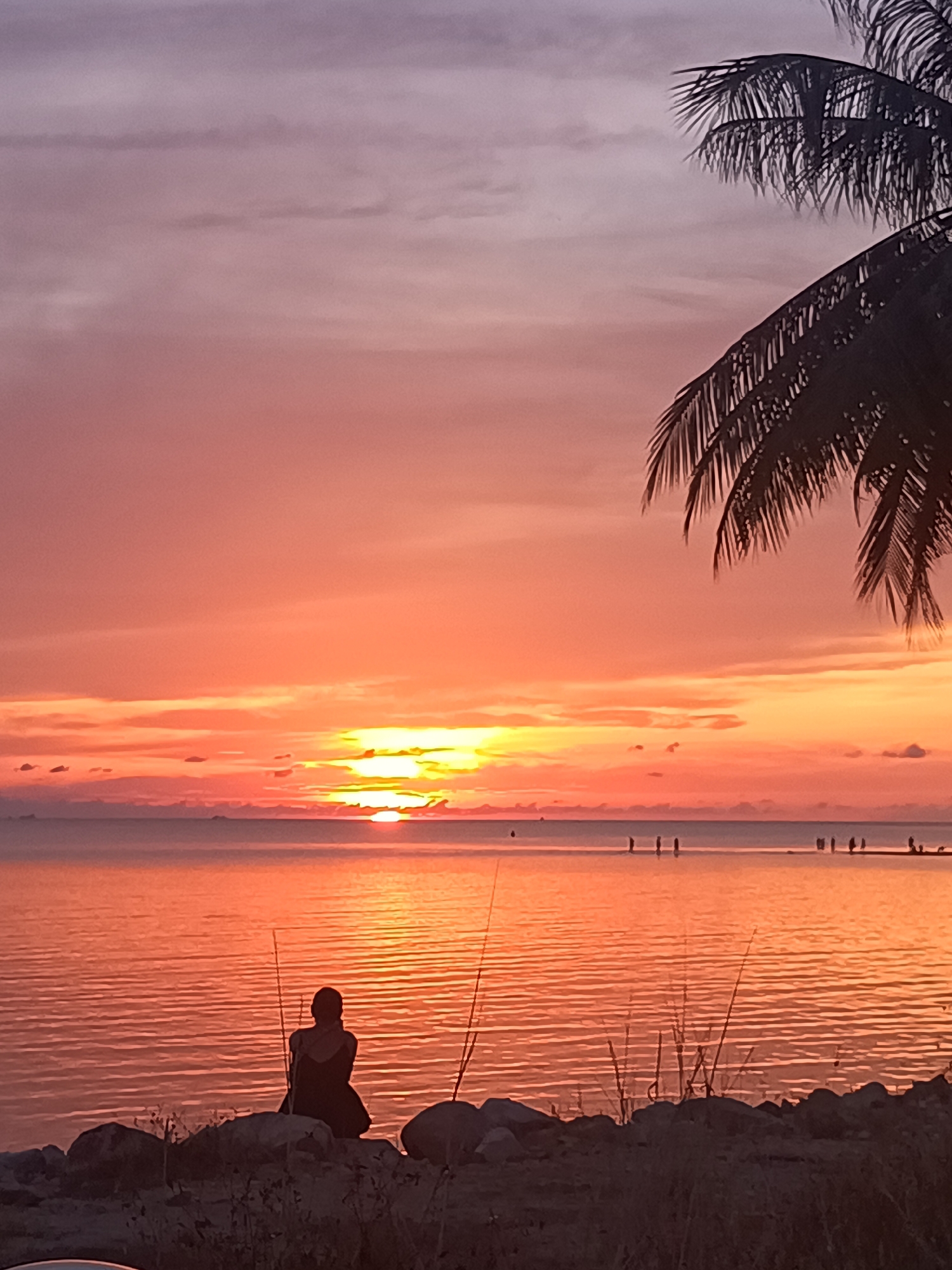 A serene coastal scene at Baan Sri Thanu, Thailand, unfolds at sunset. The sky is painted with hues of orange, pink, and purple, reflecting in the calm waters of the sea. A silhouetted figure sits on rocks in the foreground, appearing to gaze out at the horizon. Sparse vegetation grows near the rocks. In the distance, several figures can be seen standing in the shallow water. A palm tree branch hangs in the upper right corner of the frame, adding a tropical element to the composition.