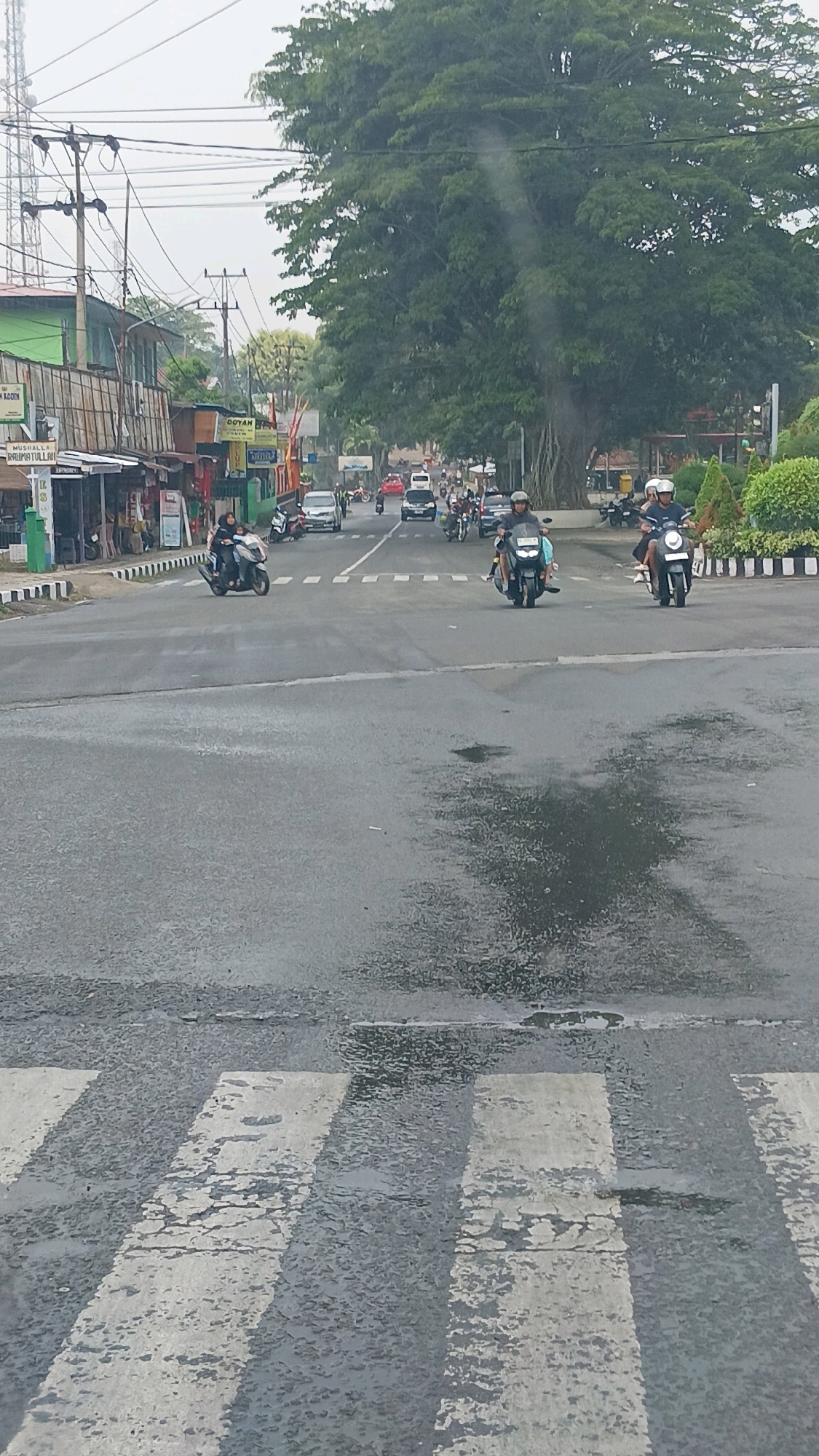 The image depicts a street scene in Batusangkar, Indonesia, likely on a cloudy or overcast day, given the diffused lighting. The foreground shows a wet asphalt road with a white pedestrian crossing, indicating recent rain or damp conditions. Several motorcycles are visible on the road, some carrying passengers.
In the middle ground, traffic is flowing in both directions. Vehicles include motorcycles, cars, and what appear to be trucks or buses further in the distance. On the left side of the road, there are buildings lining the street, including shops with signs that are partially legible, suggesting a commercial area. One building has a green facade. Utility poles and overhead wires are present along the side of the road. On the right side, a large, mature tree with extensive foliage dominates the view, its thick trunk and branches casting shadows. Beyond the tree, there are manicured bushes and a sidewalk area.
The overall impression is a typical urban street with active traffic and commercial activity, set against a backdrop of natural elements like a large tree. The presence of a pedestrian crossing highlights a designated area for people to cross the busy road.