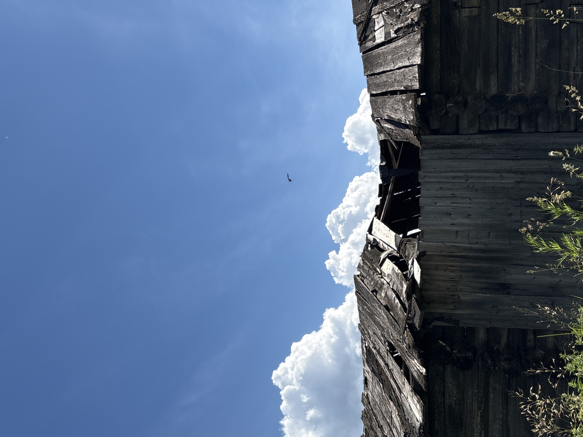 This is a photograph taken in Дресвяново, Russia, on a sunny day. The image is oriented vertically and shows a clear blue sky with scattered white clouds. In the distance, a small dark bird is captured mid-flight against the bright sky.
Dominating the right side of the frame is the weathered facade of an old wooden structure, possibly a barn or shed. The wood is dark and appears aged, with visible planks and beams. Some sections of the structure seem to be decaying or damaged, with pieces of wood missing or dislodged, suggesting a state of disrepair. The upper edge of the structure is ragged and uneven, giving it a sense of history and abandonment.
To the right of the wooden structure, some green foliage, likely grass or weeds, is visible, adding a touch of nature to the scene. The sunlight creates a contrast between the bright sky and the darker, textured wood. The overall impression is one of a rural landscape, with a focus on the interplay between the natural elements and the remnants of human construction. The time of day appears to be daytime, given the bright sunlight and blue sky. No people or visible text are present in the image.