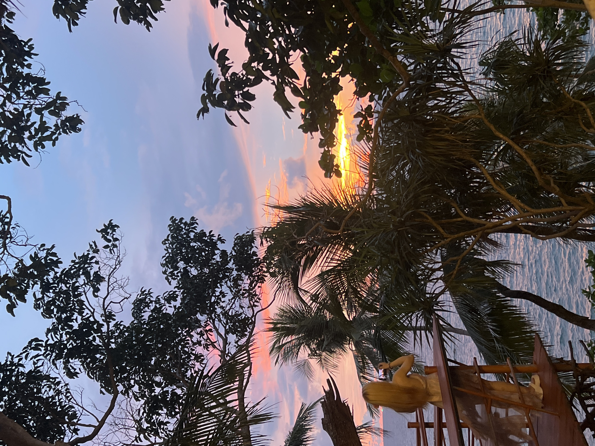 The image depicts a serene tropical scene at sunset in Karon, Thailand. The sky is painted with hues of pink, orange, and blue, indicating the twilight hour. Silhouetted trees, including palm trees with their distinctive fronds, frame the view of the ocean. The water reflects the colors of the sky, creating a tranquil and picturesque setting. In the foreground, a person with blonde hair is visible, reclining on what appears to be a wooden lounge chair or platform. They are holding a drink in their hand and seem relaxed, enjoying the sunset. The overall mood of the image is peaceful and idyllic, capturing the essence of a tropical evening. The lighting suggests it is either early morning or late evening, with the sun nearing the horizon. There is no visible text in the image.