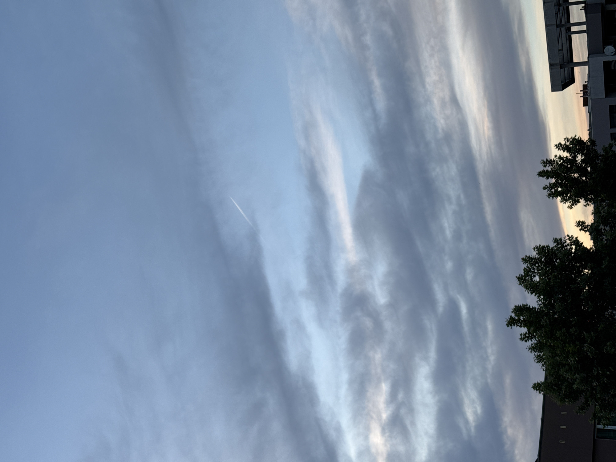 The image captures a sky with layered clouds, ranging in color from light blue to gray. A contrail is visible in the upper left quadrant of the image. In the bottom right corner, the foliage of a tree is prominent. Adjacent to the tree, a building with a dark facade is partially visible. At the top right corner, a fragment of a modern building with metallic structures is seen. The image is taken outdoors, likely in an urban environment, potentially in Pleven, Bulgaria, although specific city landmarks are not discernible. There are no visible people or actions. The lighting suggests it could be dusk or dawn.