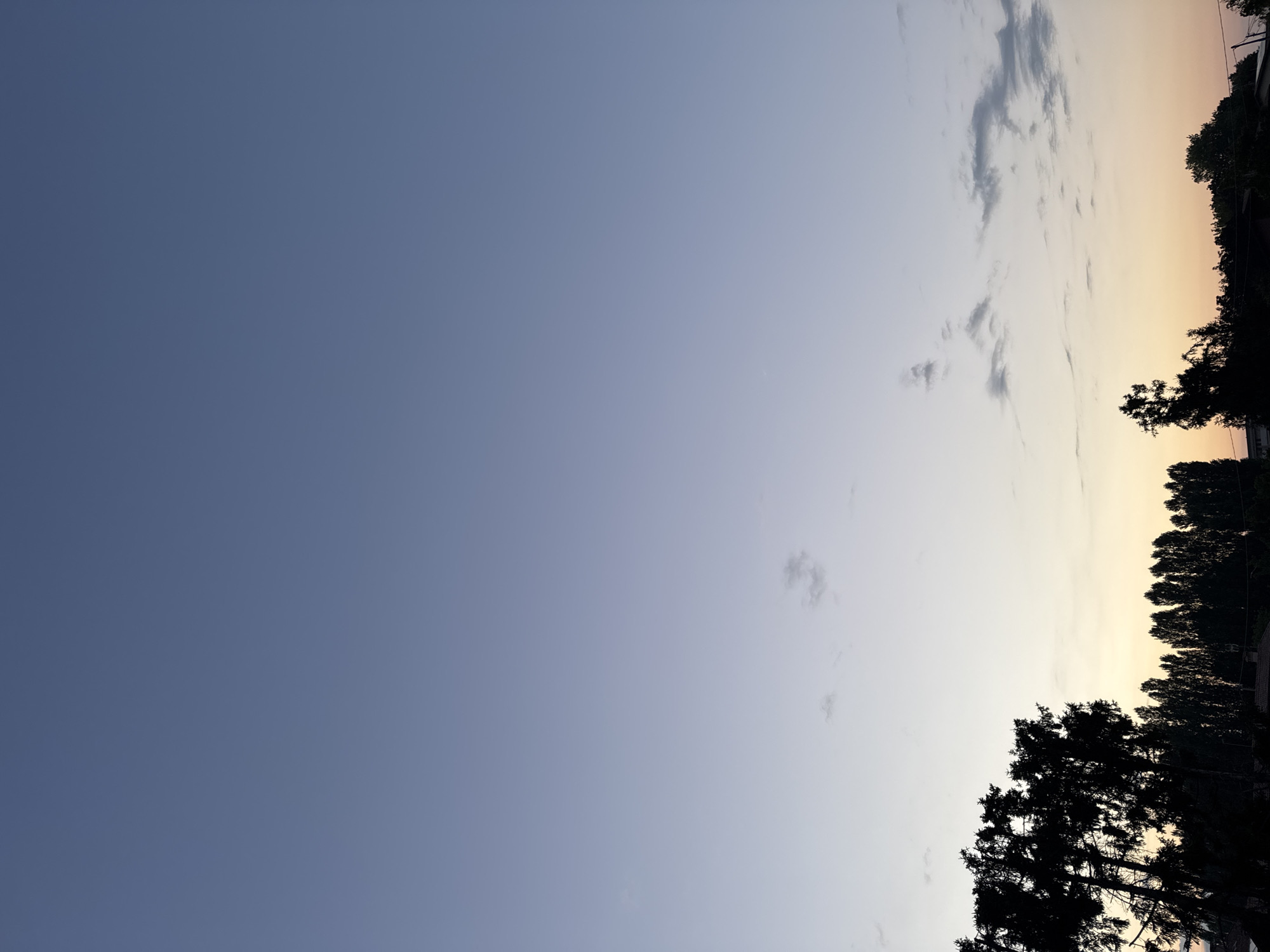 This is an eye-level, medium shot of a twilight sky over a suburban area in Mejaniga, Italy. The sky transitions from a deep blue at the top to a pale yellow near the horizon. A line of dark silhouettes of trees stretches across the lower portion of the frame, with a prominent pine tree on the left and a row of tall, slender trees to its right. A few wispy clouds are scattered across the sky. The image is devoid of any human presence or action. The environment is peaceful and still, characteristic of the end of the day.