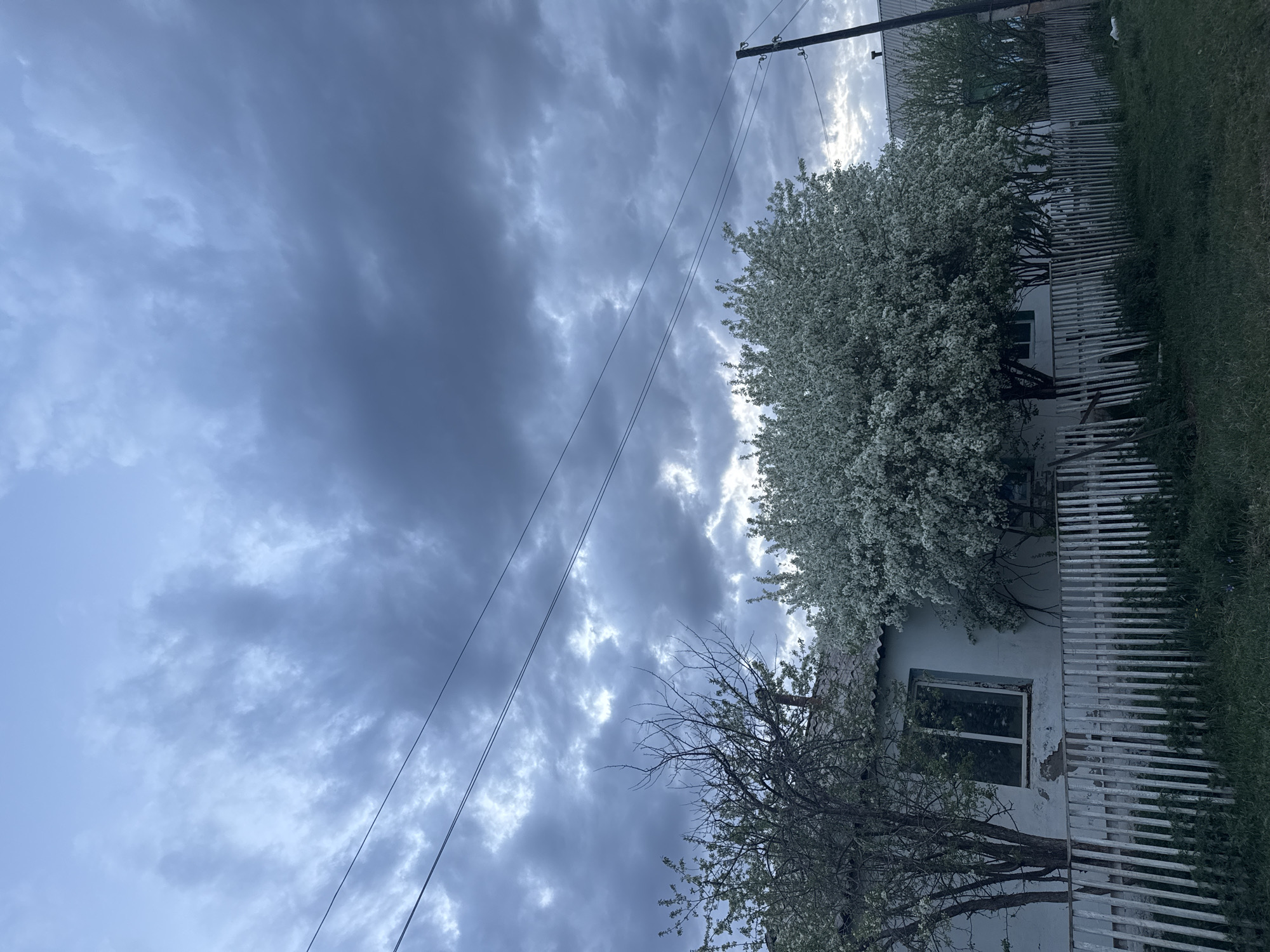The image, taken from a low angle, captures a view of a structure partially obscured by foliage in Нижний Бургалтай, Russia. The sky dominates the frame with predominantly gray and textured clouds suggesting an overcast day. In the upper-left, power lines stretch across the sky. The structure appears to be a building with white siding and a window. A white picket fence runs along the side of the building, partially hidden by greenery. Two trees are prominent: one in full bloom with white flowers and another with sparse foliage. The surrounding environment shows grass and some overgrown vegetation. The overall impression is a rural scene with weathered elements.