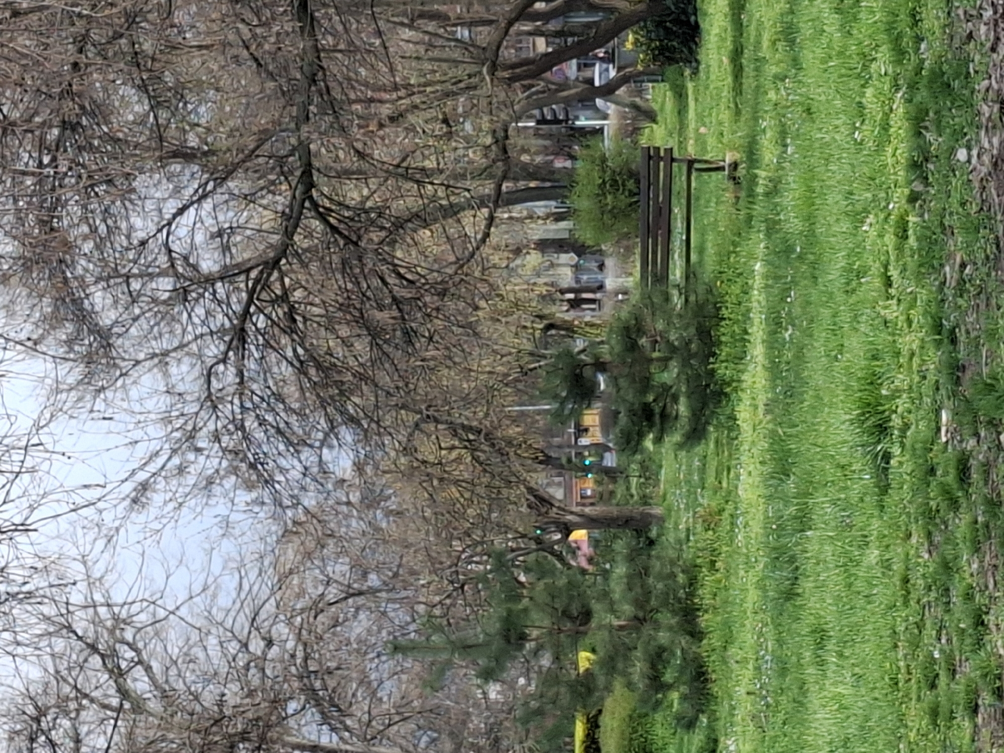 The image captures a scene in Plovdiv, Bulgaria, likely a park or green space along a street. The foreground is dominated by a patch of vibrant green grass. A wooden bench sits to the left of the grassy area. Beyond the grass and bench, a row of trees lines the street, most of which are bare of leaves, suggesting early spring or late autumn. Further down the street, the presence of buildings and traffic signals indicates an urban environment. There are no discernible people visible.