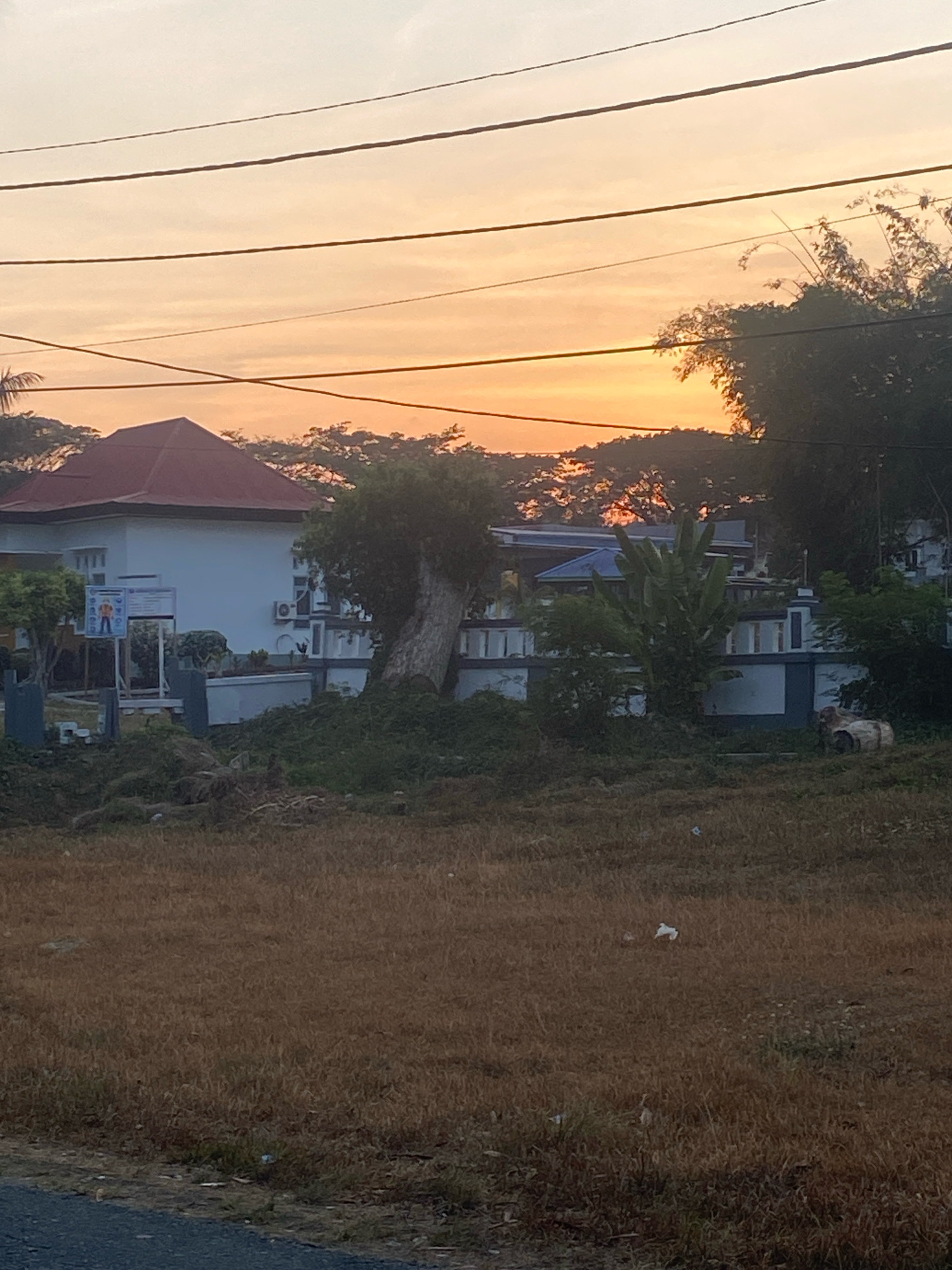 The image depicts a suburban or rural landscape in Kampung Makian, Indonesia, during what appears to be sunrise or sunset, given the warm, orange hue of the sky. In the foreground, a field of dry, brown grass stretches across the frame. A paved surface, likely a road or pathway, is visible along the bottom edge.
In the middle ground, a white building with a red-tiled, pyramid-shaped roof is prominent. Adjacent to this building is another structure with a blue roof and a white facade, featuring windows with dark frames. Several trees, some with lush green foliage and others with bare branches, are scattered around the buildings. One particularly large tree leans significantly to the right. Various plants and overgrown vegetation cover the ground around the buildings.
In the distance, a line of trees creates a dark silhouette against the brightly colored sky. Power lines are strung across the upper portion of the image. There is a signpost near the white building with the red roof, but its details are not discernible. A white object, possibly litter, is visible in the field in the lower right quadrant of the image. The overall scene is tranquil, with no discernible human activity.