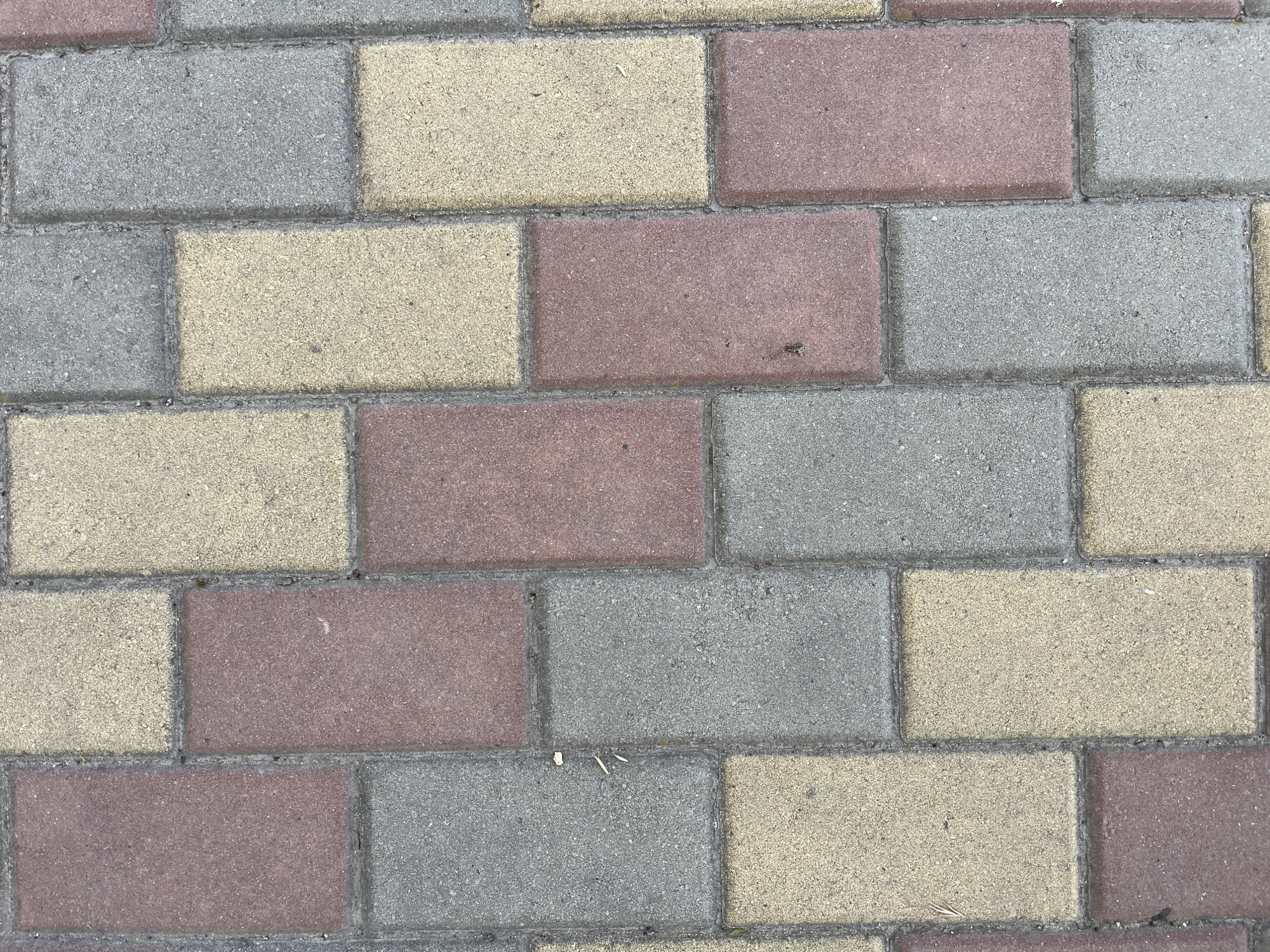 This is a top-down, close-up shot of a paved surface in Azov, Russia. The pavement is made of rectangular interlocking stones in three colors: red, yellow, and gray. The stones are laid in a running bond pattern, with each row offset from the one below. The surface appears to be outdoors and is well-lit, suggesting it is daytime. There are a few small pieces of debris, such as twigs and dirt, scattered on the stones, indicating it may be a public walkway or plaza. No people or specific landmarks are visible. The image focuses solely on the texture and pattern of the paving stones.