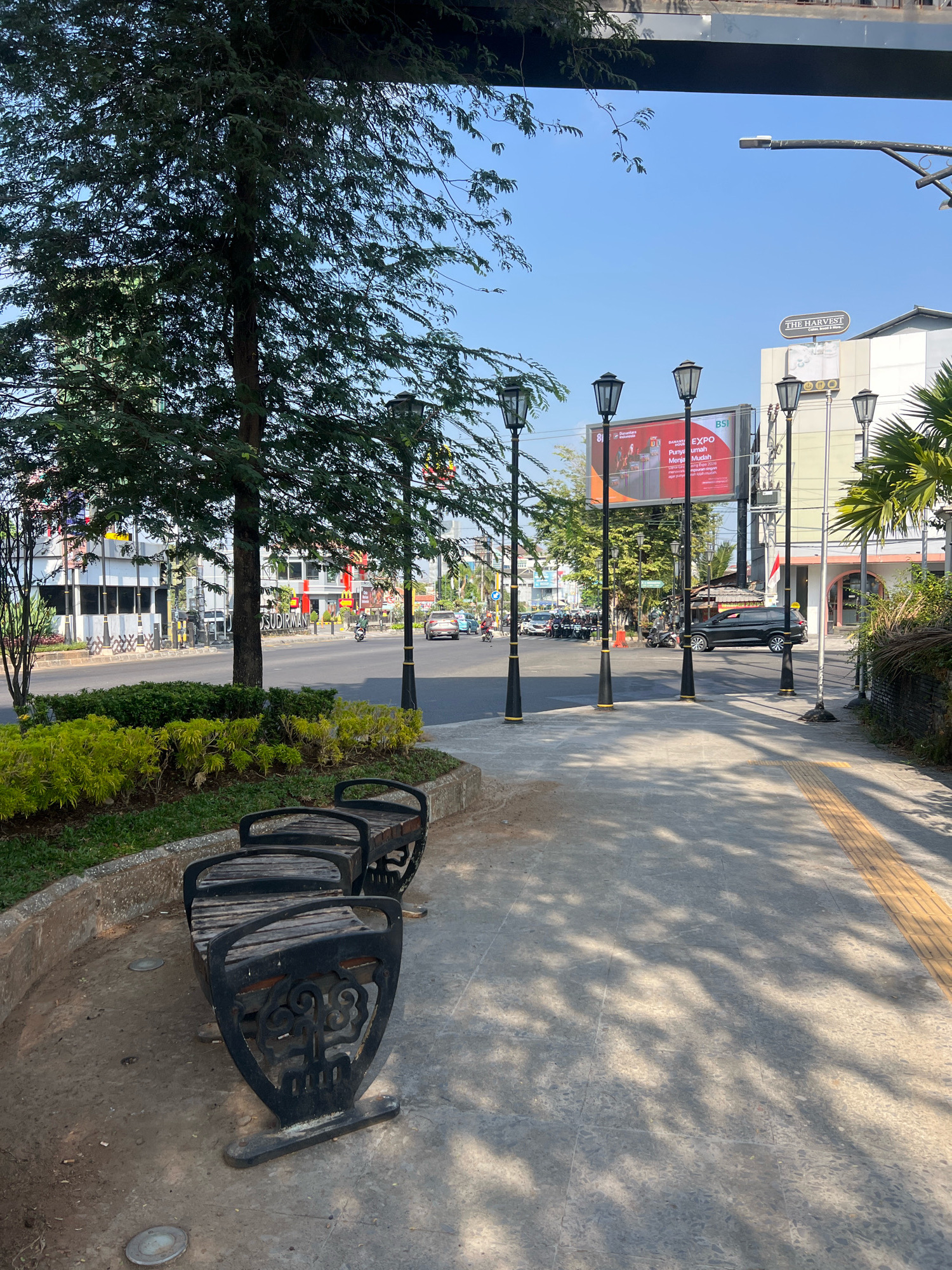 The image depicts a street scene in Yogyakarta, Indonesia. In the foreground, three empty black metal and wooden benches are arranged along a curved planter filled with green shrubs and yellow-leafed bushes. The sidewalk to the right is paved with grey stone tiles and features a tactile yellow paving strip for visually impaired pedestrians. Several ornate black lampposts with yellow accents line the sidewalk.
Across the street, a multi-lane road is visible with several cars and a motorcycle in motion. Buildings with modern architecture line the opposite side of the street. A large billboard advertising "BSI EXPO" is prominently displayed, along with another sign for "THE HARVEST" cake shop. A mature tree with dense foliage stands to the left of the benches, casting dappled shadows across the sidewalk. The sky is clear and blue. The overall scene suggests a public urban space during daylight hours.