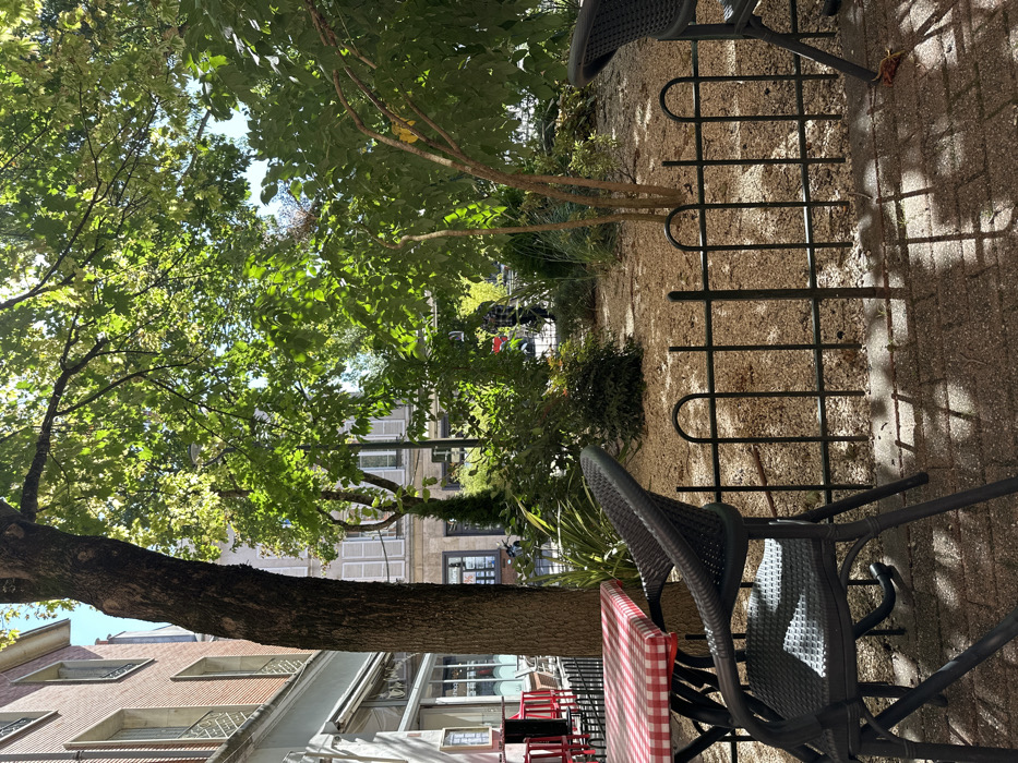 The image displays an unoccupied outdoor cafe area adjacent to a public garden in Orléans, France, under direct sunlight.
In the foreground, a square table with a red and white checkered tablecloth is positioned on light gray paving stones. An empty dark gray wicker-style chair with metal legs is placed at this table. Part of a second matching chair is visible to the right. A low, black metal fence, composed of vertical bars with looped tops, delineates the paved area from a garden.
The midground features a garden bed filled with small, light-colored gravel. Various green plants and small trees grow within this bed. A prominent tree trunk rises from the left side of the paved area, its foliage extending into the upper left portion of the frame.
In the background, on the left, a multi-story building with a reddish-brown brick facade on its upper levels and large ground-floor windows is visible. Red chairs or stools are partially observed near this building. To the right, a lighter-colored building with multiple windows, some featuring closed light-colored louvered shutters, is present. Through the foliage in the deeper background, a single individual wearing a dark plaid shirt is observed walking from left to right. Dappled sunlight filters through the tree canopies, casting distinct shadows on the paved ground.