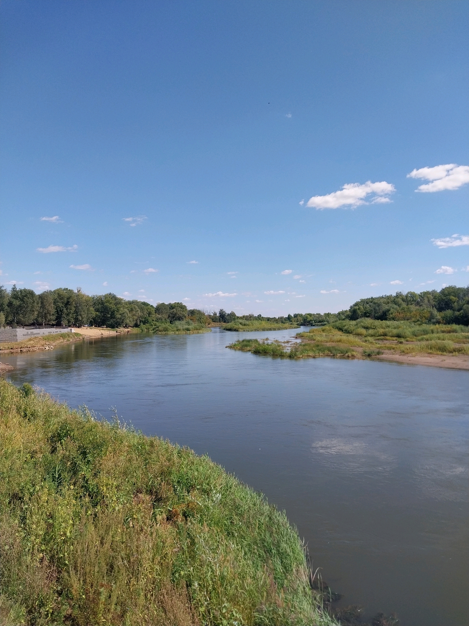 This is a wide-angle, eye-level photograph of the Ural River in Orenburg, Russia, under a clear blue sky dotted with a few white clouds. The river, occupying the majority of the frame, is calm with subtle ripples. On the left bank, there is a sloped embankment covered in lush green and dry grass, with some taller reeds near the water's edge. Further back on the left bank, a paved walkway or promenade can be seen bordering a sandy beach area, backed by a dense line of green trees. The right bank of the river is also lined with thick vegetation and trees. The scene appears to be a natural landscape within or on the outskirts of the city, likely a park or recreational area. No people or animals are visible in the image.