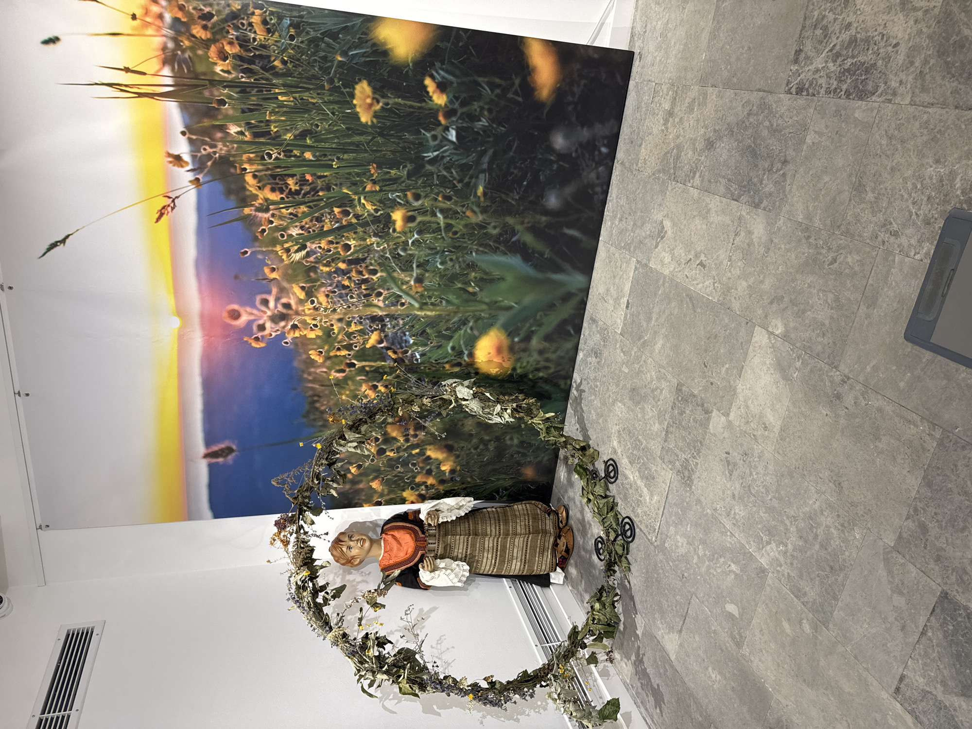 The image depicts an interior scene, likely an exhibition space, with a large photographic backdrop on the right wall. This backdrop features a vibrant landscape at sunset, with a field of yellow wildflowers in the foreground and a sunset illuminating rolling hills and a body of water.
In the foreground, a mannequin dressed in traditional Bulgarian folk attire stands within a large, circular wreath made of dried greenery and flowers. The mannequin has a light skin tone and short, light brown hair, and is wearing an orange top with white lace detailing at the cuffs, a patterned vest, and a long, striped skirt. The wreath is partially resting on the floor, which is tiled with large, grey stone-like tiles.
To the left of the mannequin, a white wall is visible, featuring a horizontal air vent near the top. A small security camera is also mounted on the ceiling in the upper left corner of the image. The overall impression is one of a display or exhibit.
While the image does not explicitly state its location, if this display is indeed in Gabrovo, Bulgaria, it would likely be at a museum or cultural center dedicated to Bulgarian heritage, such as the Etar Architectural-Ethnographic Complex, or a similar institution in the city.