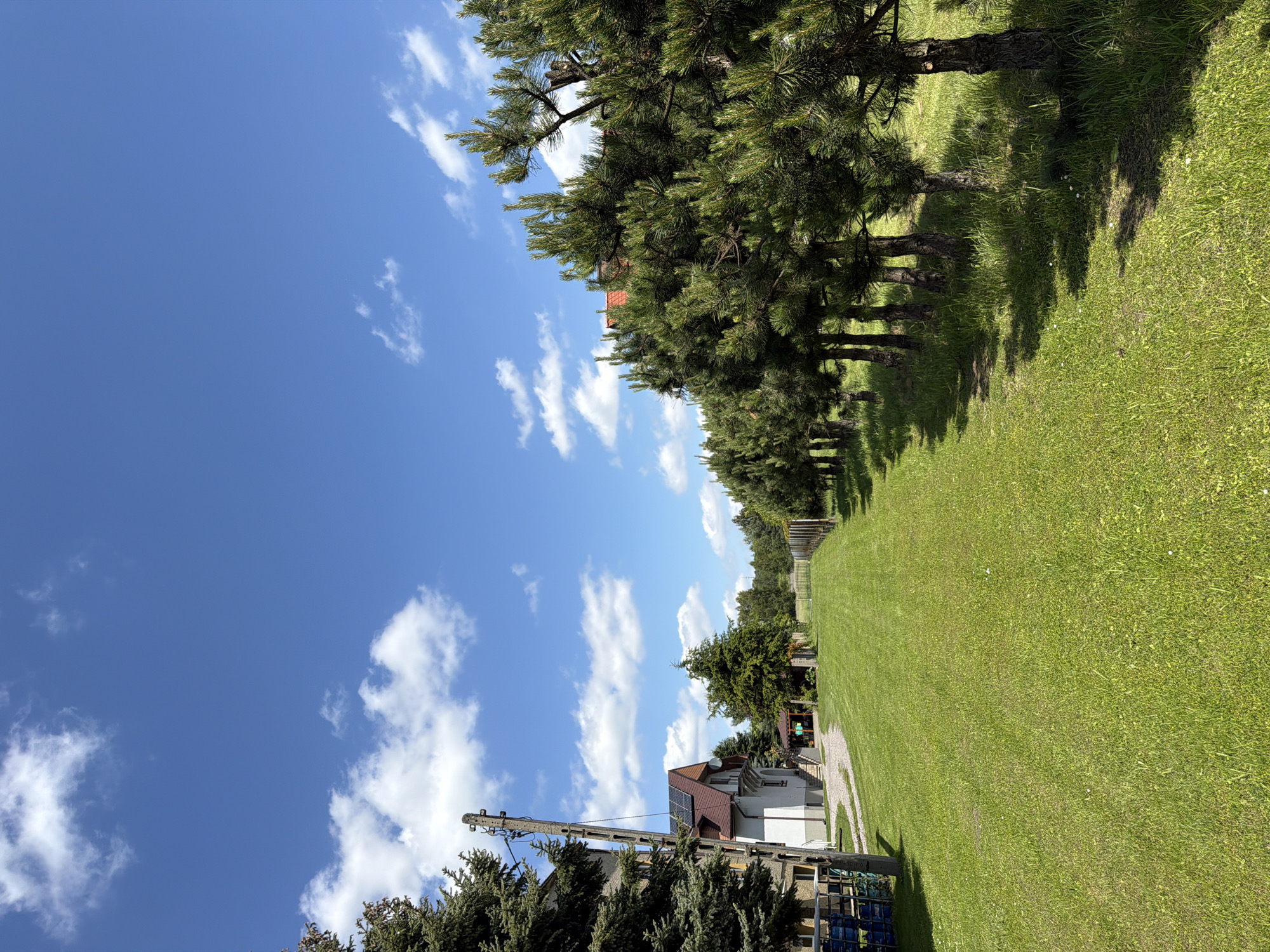 This is a full-frame, eye-level, outdoor, vertical shot of a rural property in Strzyżowice, Poland, on a bright, sunny day with a clear blue sky dotted with white clouds. In the foreground and to the right, a row of mature pine trees forms a dense hedge. To the left, a well-maintained green lawn stretches towards a two-story house with a dark red roof and solar panels. A gravel driveway leads to the house, which has an entrance with stairs and a porch. A wooden utility pole with visible wires stands near the house. In the background, more trees and a fence are visible, suggesting a rural or semi-rural setting. The scene is serene and depicts a typical Polish countryside landscape.