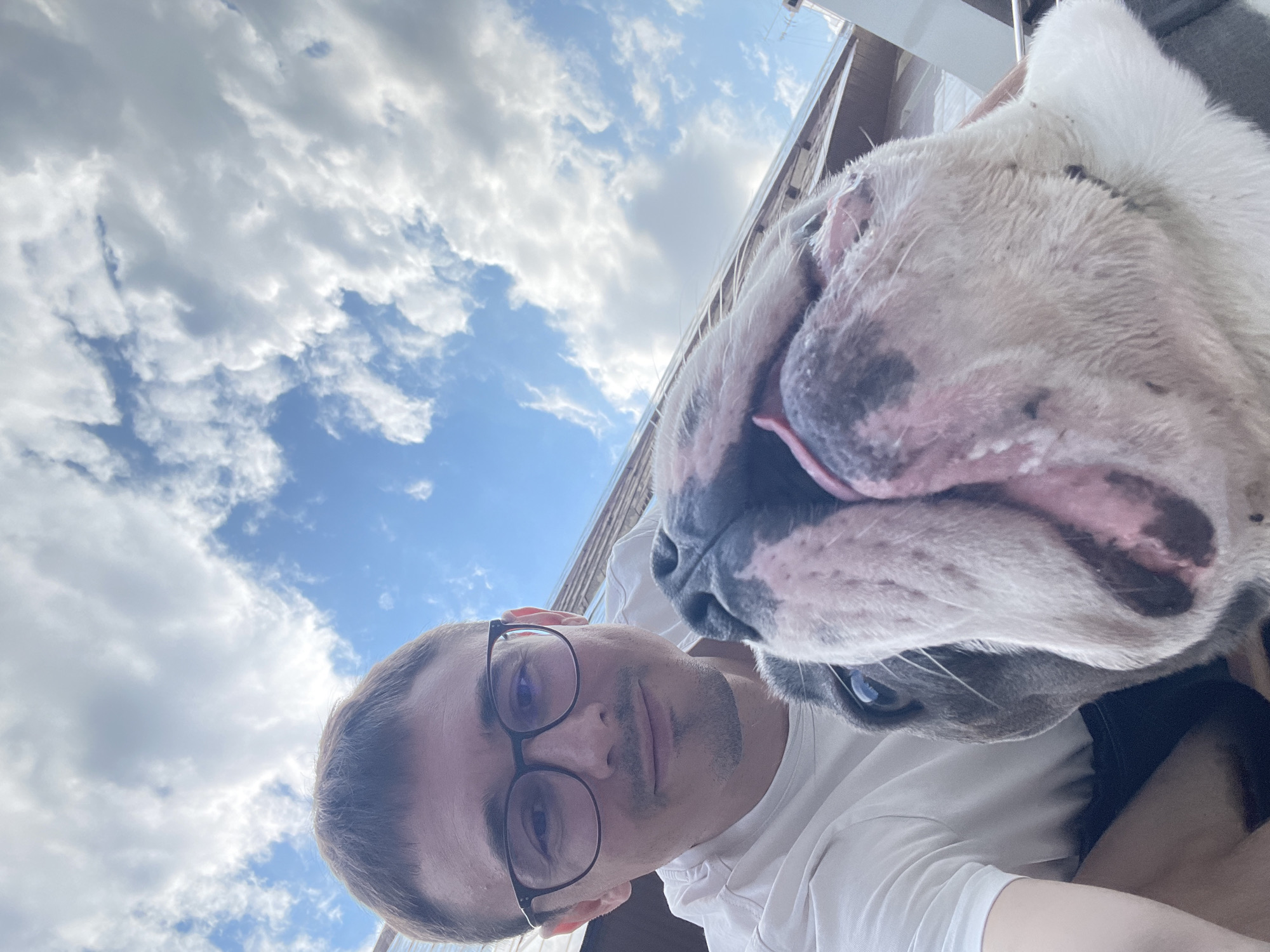 A close-up, slightly distorted, low-angle selfie taken by a person wearing glasses and a white t-shirt, with a large dog's face prominently in the foreground. The dog, a brindle and white pit bull type breed, has its mouth open and tongue slightly out, with its eyes looking upwards. The background is a bright blue sky with scattered white clouds, suggesting an outdoor setting. The overall impression is of a playful or affectionate moment captured between a person and their pet. The image does not contain any recognizable landmarks or clues to determine the location as Novosibirsk, Russia.
