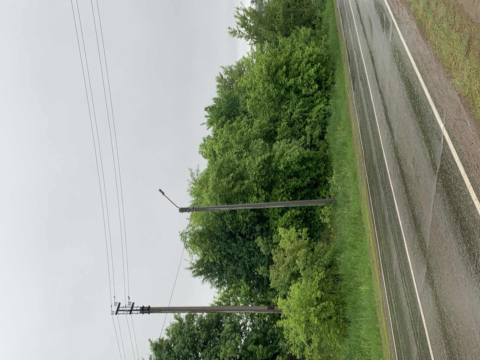 The scene is a roadside view in Фоки, Russia, under an overcast sky. The road is wet, reflecting the light, and has white lane markings. A green grassy area borders the road, followed by dense trees. Two utility poles stand among the trees, with power lines stretched across the sky.