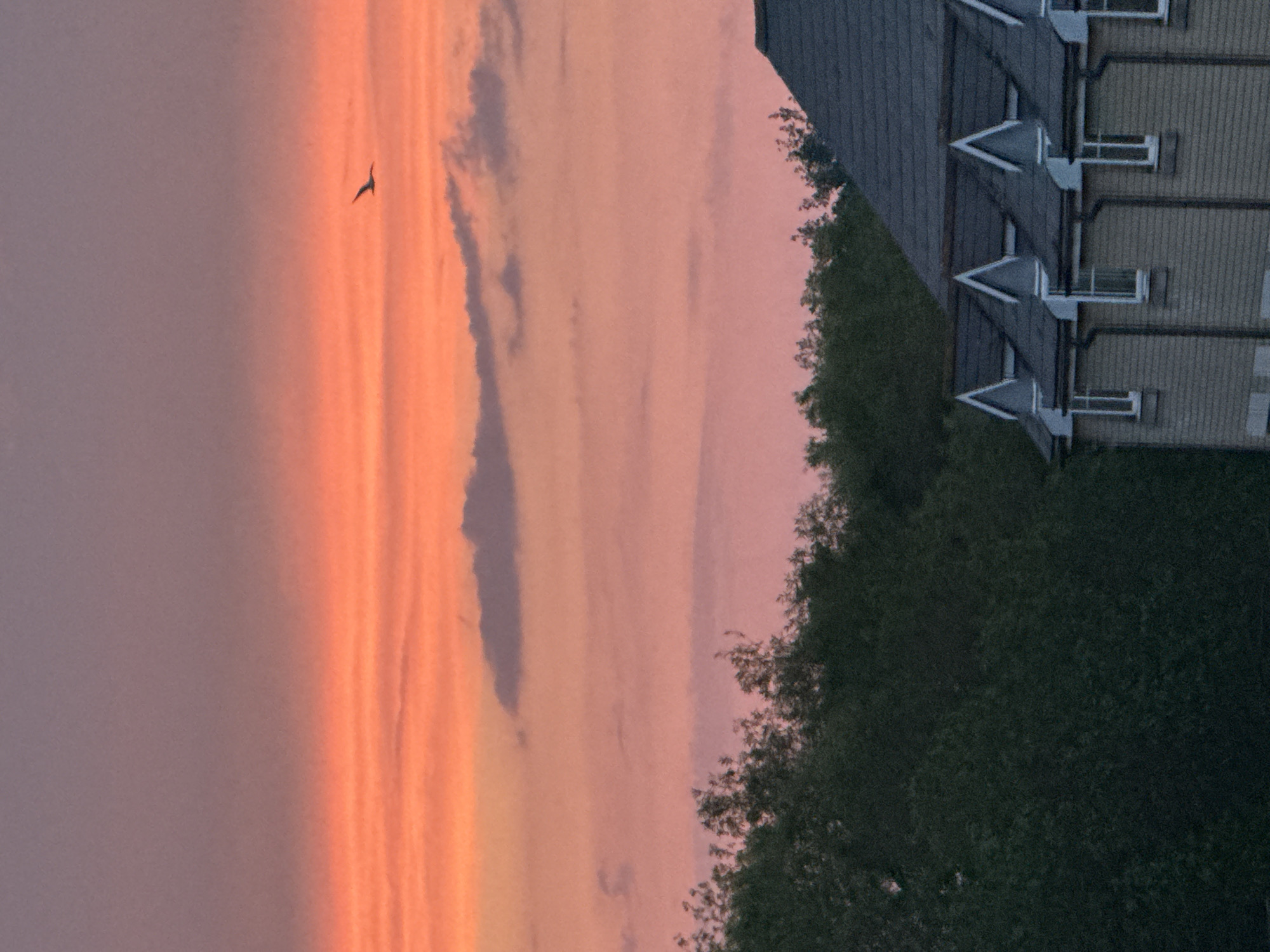 The image shows a sunset in Great Yarmouth, United Kingdom. A bird flies against the orange and pink streaked sky. To the right, the edge of a building with gabled roofs and windows is visible, partially obscured by green trees. The image is rotated 90 degrees counter-clockwise.