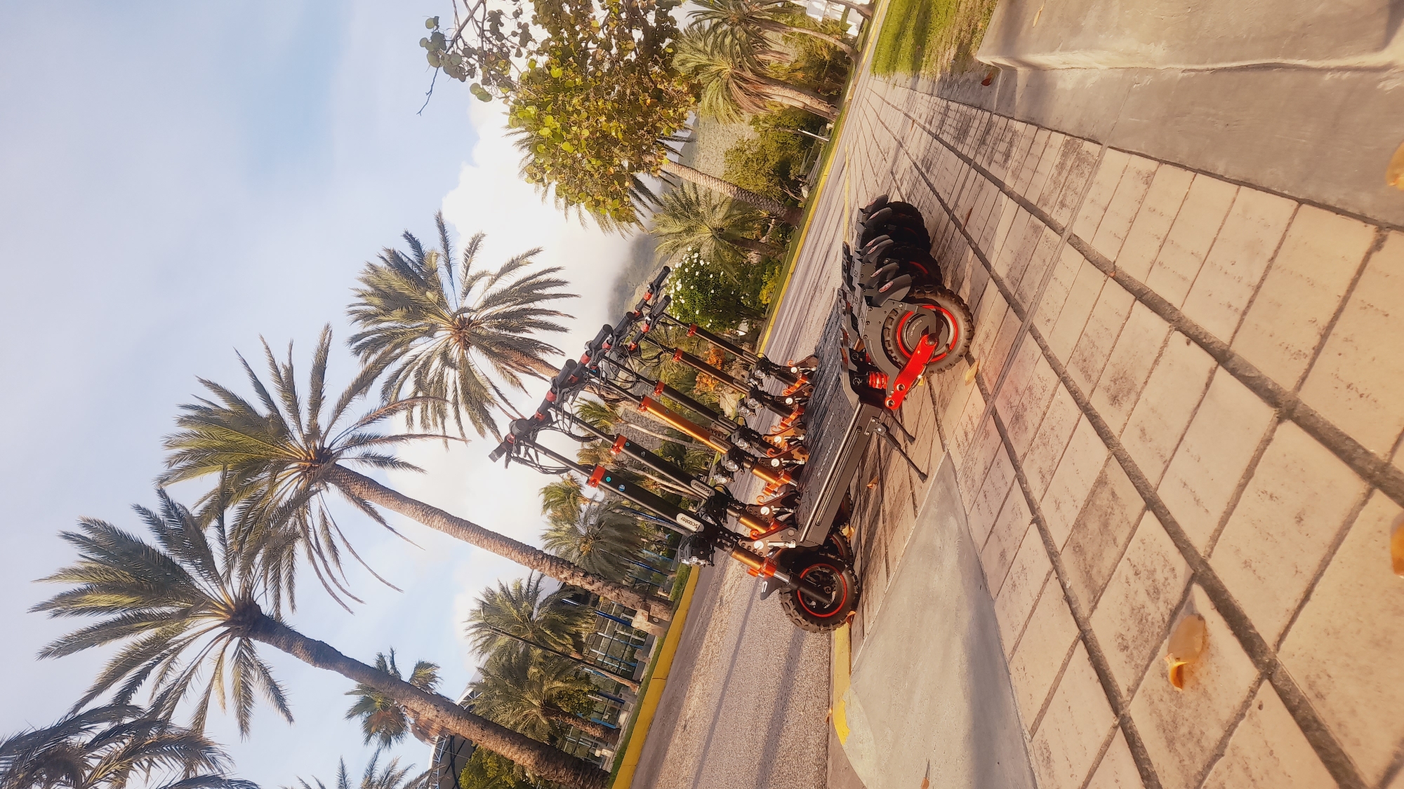 The image shows a row of parked electric scooters on a tiled sidewalk in front of a road lined with palm trees. In the background, there are more palm trees, some vegetation, and a hazy mountainous landscape under a bright sky. The scooters are lined up side-by-side, with their handlebars facing upwards and towards the left of the frame. The scooter in the foreground has red accents on its wheels. The sidewalk is paved with light-colored square tiles. The overall scene suggests a tropical or subtropical environment, possibly in a tourist area.