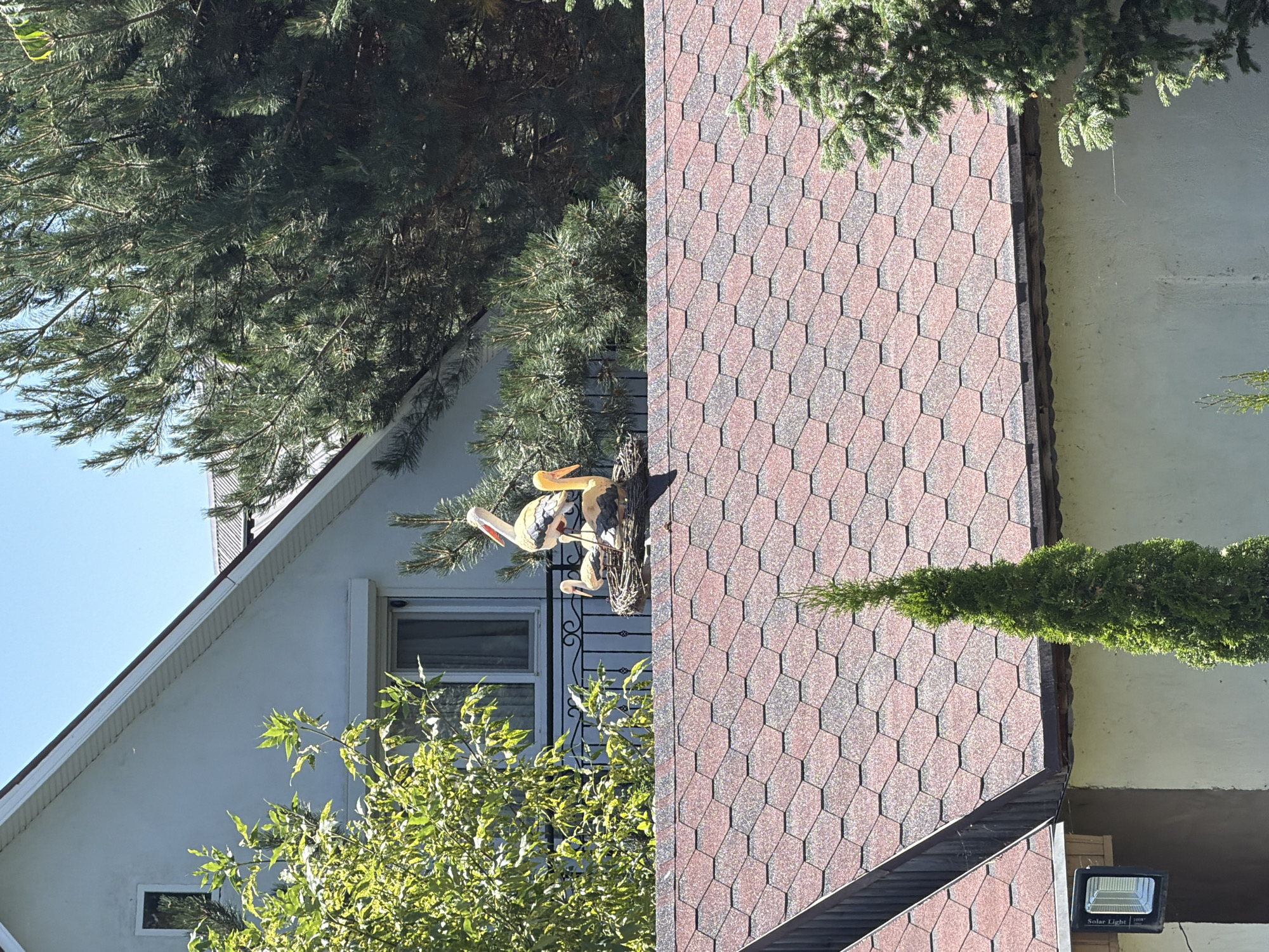 A detailed, forensic, matter-of-fact description of the scene, including essential details about people, subjects, objects, actions, interactions, and the environment, follows:
The image depicts a rooftop scene in an outdoor setting, likely a residential area, given the presence of houses and foliage. The primary focus is a nest situated on a reddish-brown shingled roof. Within the nest are three stork figurines, two white and orange, and one primarily orange with a yellow beak. The figurines are arranged in a way that suggests a family unit, with two smaller figurines appearing to be chicks and a larger one a parent.
Behind the rooftop, a white house with a dark-tiled roof is visible. A balcony with an ornate black railing extends from the house. Green foliage, including leafy trees and pine trees, frames the scene, providing a natural contrast to the man-made structures. The sky above is clear and blue, suggesting a sunny day.
The foreground of the image shows another section of the reddish-brown shingled roof, with a tall, slender evergreen tree growing from it. To the left, a wall of a building is visible, with a floodlight attached to it. The overall impression is one of a tranquil, perhaps rural or suburban, environment with decorative elements on display. There are no people or animals present in the image.