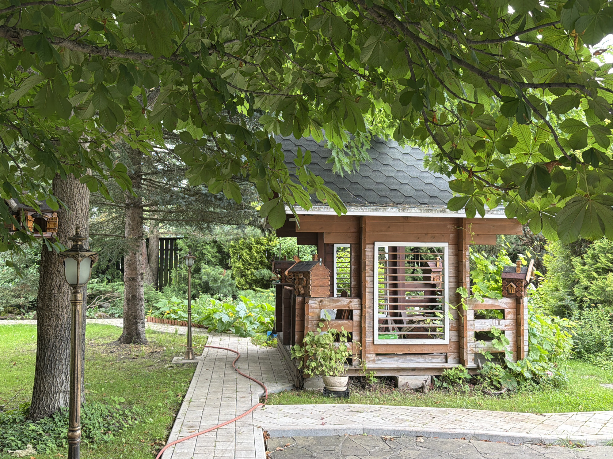 The image depicts a peaceful backyard scene, likely in a suburban or rural setting, given the presence of mature trees, lush greenery, and a wooden gazebo. A stone pathway leads towards the gazebo, which is constructed of dark wood and has a shingled roof. The gazebo features white-trimmed windows with horizontal wooden blinds. Several potted plants are visible around the gazebo, and a birdhouse is attached to its side. A garden hose snakes along the pathway. Two ornate lampposts are situated in the yard, one closer to the foreground and another further back. The environment is verdant, with a variety of trees, bushes, and grass. The overall impression is one of tranquility and a well-maintained outdoor space. This scene is set in Sannikovo, Russia.