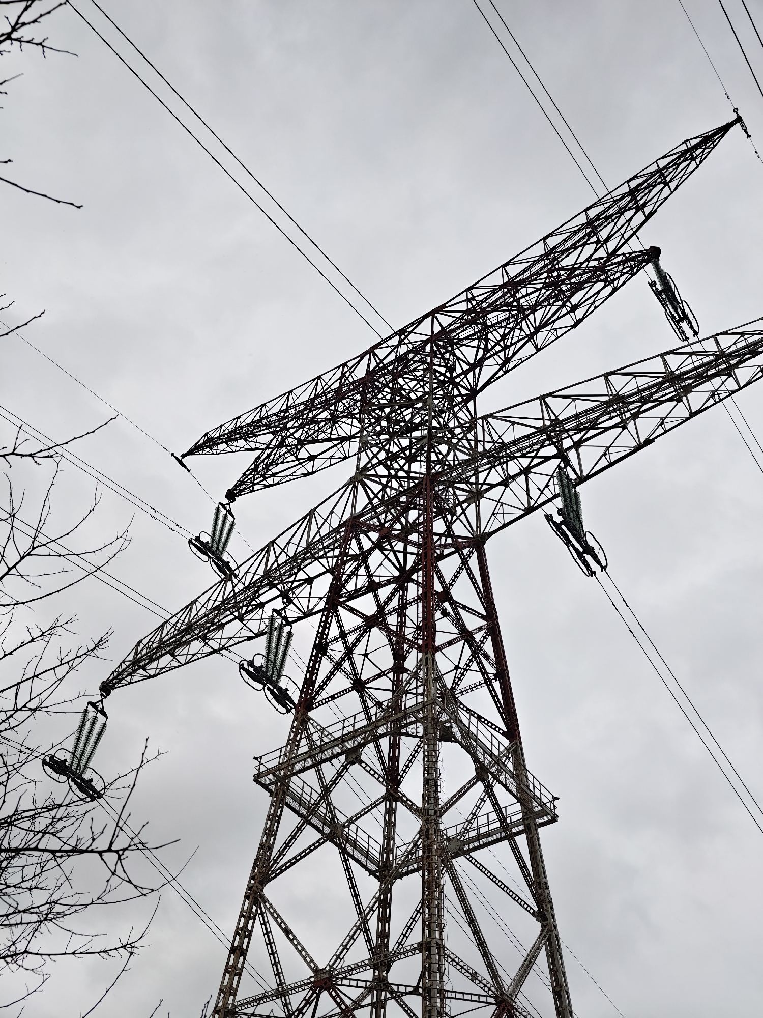 The image displays a high-voltage electricity transmission tower situated in Kozloduy, Bulgaria. The tower is a large, metallic lattice structure, observed from a low-angle perspective against an overcast, grayish-white sky. The steel framework exhibits areas of reddish-brown coloration, consistent with either paint or superficial rust. Multiple cross-arms extend from the main mast, supporting several strings of green-tinted, ribbed suspension insulators. Numerous dark, high-voltage transmission lines are attached to these insulators and traverse beyond the frame. Bare, leafless tree branches are visible along the left edge of the foreground. No individuals, specific actions, or interactions are depicted within the scene.