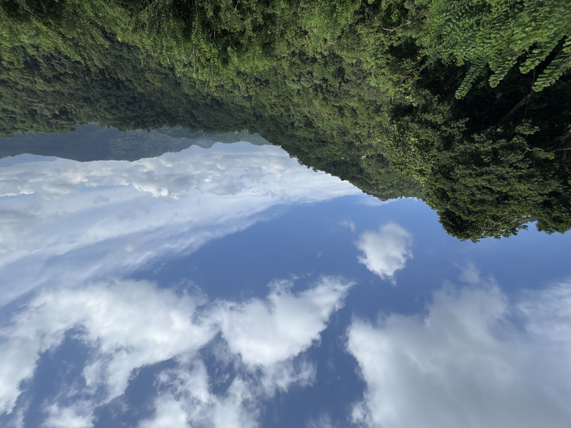 The image shows a landscape with a forest on the upper half and a sky with clouds on the lower half. It was taken in Pilimatalawa, Sri Lanka. The forest appears lush and dense, covering the hillside. The sky is blue with scattered white clouds. There are no people or obvious signs of human activity visible in the frame.