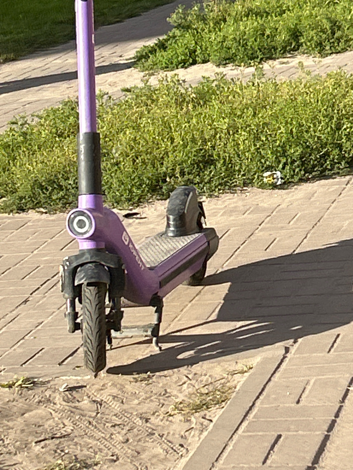 A purple electric scooter is parked on a paved walkway. The scooter has a black handlebar stem, a round white headlight, and a black wheel with a tire tread pattern. The scooter is casting a shadow on the walkway. In the background, there is green shrubbery and a patch of dirt with tire tracks. The paved walkway is made of rectangular tiles laid in a herringbone pattern. There is a white and yellow object on the ground near the shrubbery. The scene appears to be outdoors in a city setting.