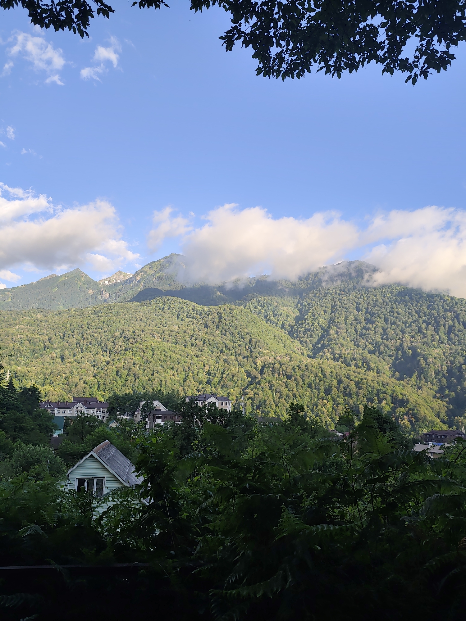 This landscape photograph captures a serene view of Krasnaya Polyana, Russia, likely during the daytime. The foreground is dominated by lush green foliage, creating a natural frame for the scene. A small, light blue house with a grey roof is partially visible amidst the dense vegetation, offering a glimpse of domestic life within the natural setting.
Beyond the immediate foreground, a cluster of buildings, possibly houses or smaller hotels, are nestled among trees. These structures, with their neutral-toned roofs and facades, blend harmoniously with the surrounding environment.
The background is defined by imposing, tree-covered mountains that rise majestically into a bright blue sky. Wispy white clouds drift across the sky, some of them kissing the peaks of the mountains, creating a sense of depth and atmospheric beauty. The sunlight illuminates the mountains, highlighting the rich green of the forests that cloak their slopes. The overall impression is one of tranquility and natural beauty, with the human presence subtly integrated into the grand mountainous landscape. No people or text are visible in the image.