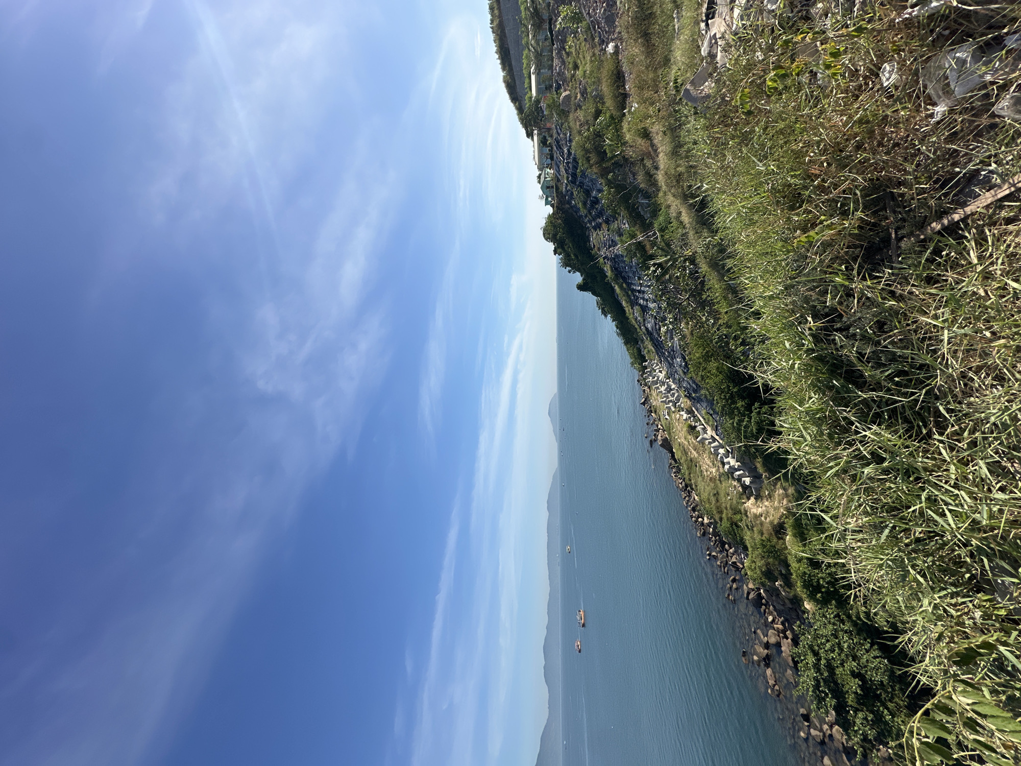 This is an image taken in Đà Nẵng, Vietnam, likely from a coastal vantage point. The scene is dominated by a wide expanse of calm, blue-green ocean under a clear blue sky with scattered white wisps of clouds. In the distance, a hazy mountain range forms the horizon.
Closer to the foreground, the coastline is rocky and slopes upwards. Several small, orange and white fishing boats are visible on the water, dotted across the frame. Along the edge of the land, a line of concrete barriers, likely part of a seawall or coastal defense, is visible.
The terrain immediately in the foreground is dry and overgrown with tall, green and brown grasses and some scattered shrubs. There appears to be some debris, possibly litter or construction materials, mixed in with the vegetation on the right side of the image.
On the hillside above the rocky shoreline, a small cluster of buildings with light-colored roofs and walls can be seen nestled amongst trees. The overall impression is of a natural coastal landscape with some signs of development and human activity.