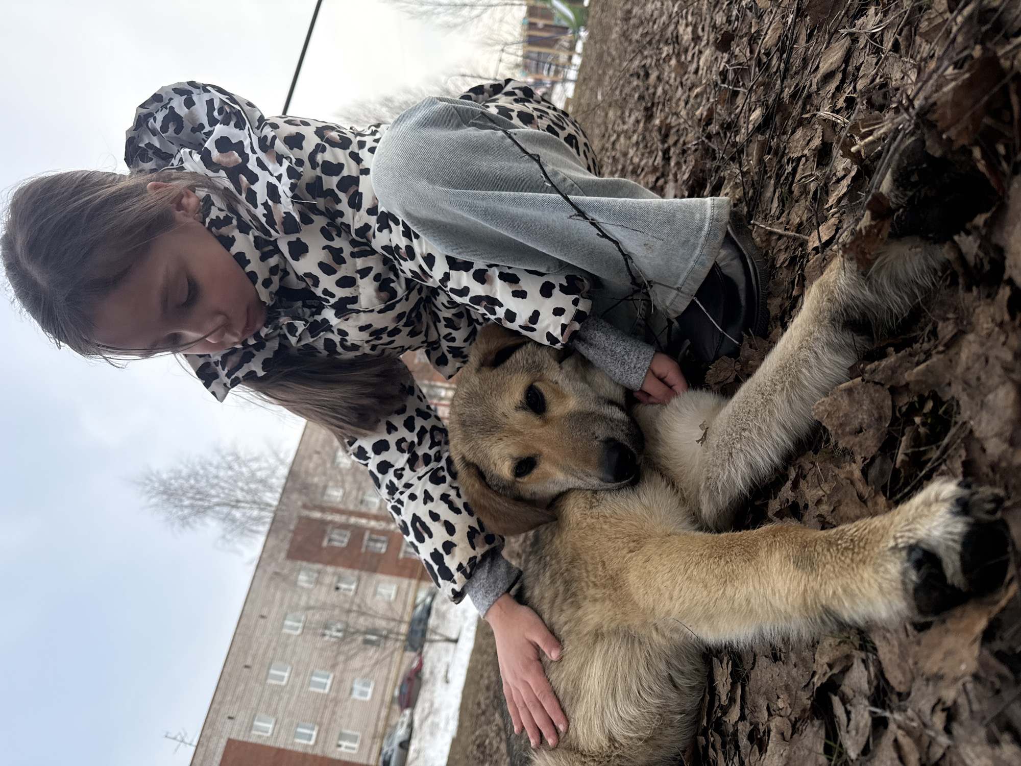 A young girl in a black-and-white spotted jacket and gray jeans is kneeling on brown leaves. She is petting a large, light brown dog lying on its side. The girl’s face is directed towards the dog. The scene appears to be outdoors near a building with visible windows. The location is Votkinsk, Russia.