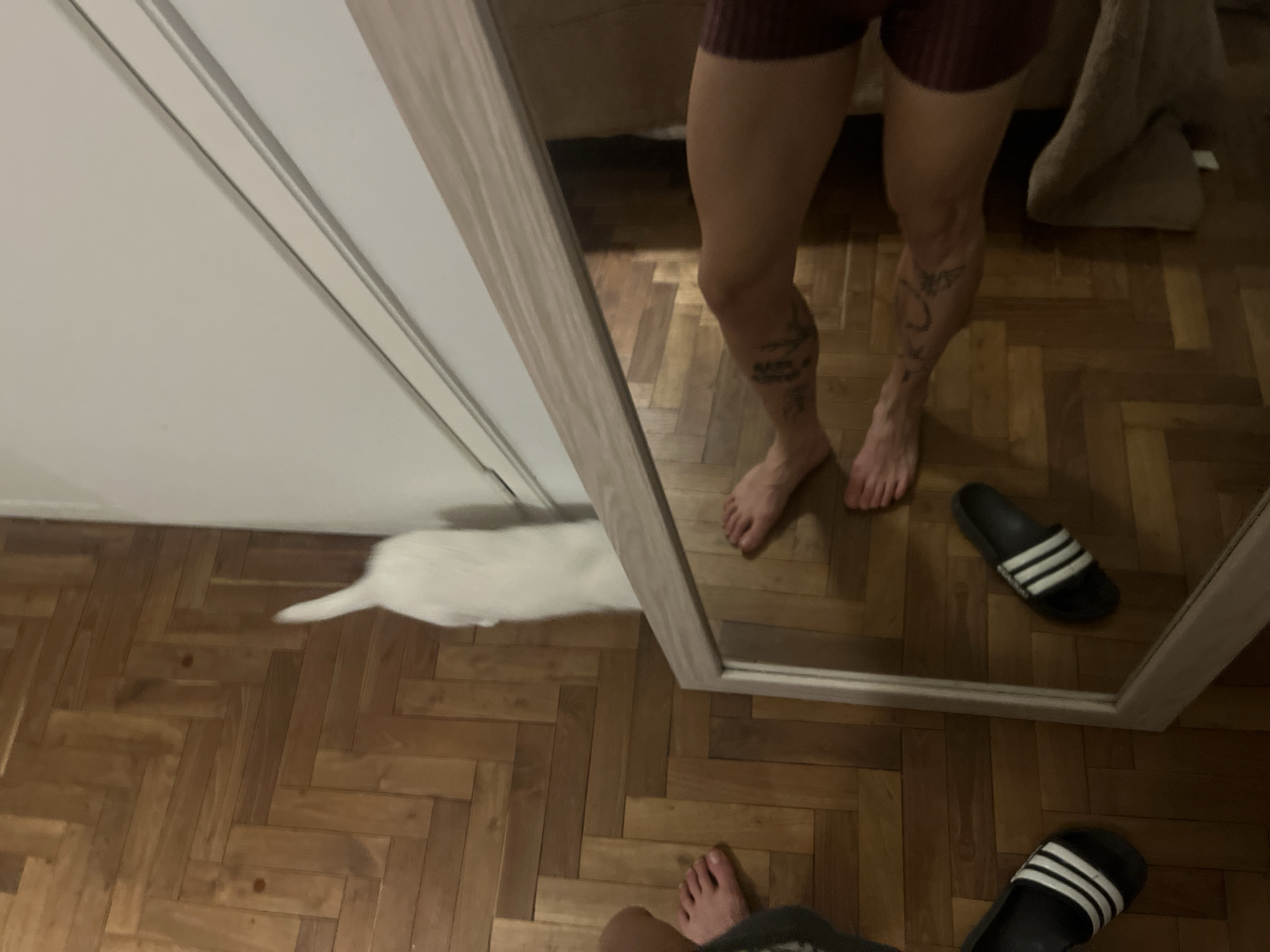 A mirror reflects a person with tattooed legs, wearing burgundy shorts, standing on a wooden herringbone floor. To the left, a white cat is partially visible under a white cabinet. A pair of black Adidas sandals with white stripes is on the floor, one within the reflection and the other in the foreground near the bottom edge of the frame. The setting appears to be an indoor space, possibly a home. The precise location in Buenos Aires, Argentina cannot be determined from the image.