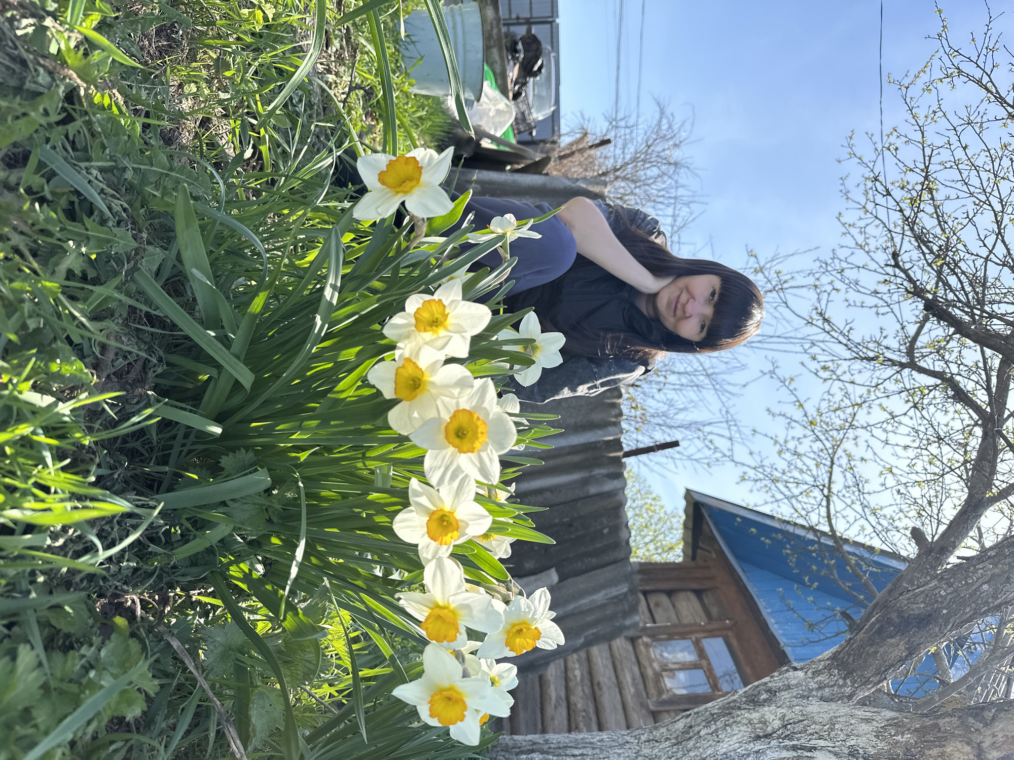 A medium shot captures a woman lying beside a cluster of daffodils in Среднее Кечево, Russia. The woman has long dark hair with bangs, and she wears a dark jacket. She's positioned so that her head is near the flowers, and she is looking towards the camera. In the background, there's a wooden structure and trees with budding leaves against a bright sky. The daffodils are white with yellow centers and stand out in contrast to the green grass and foliage around them.