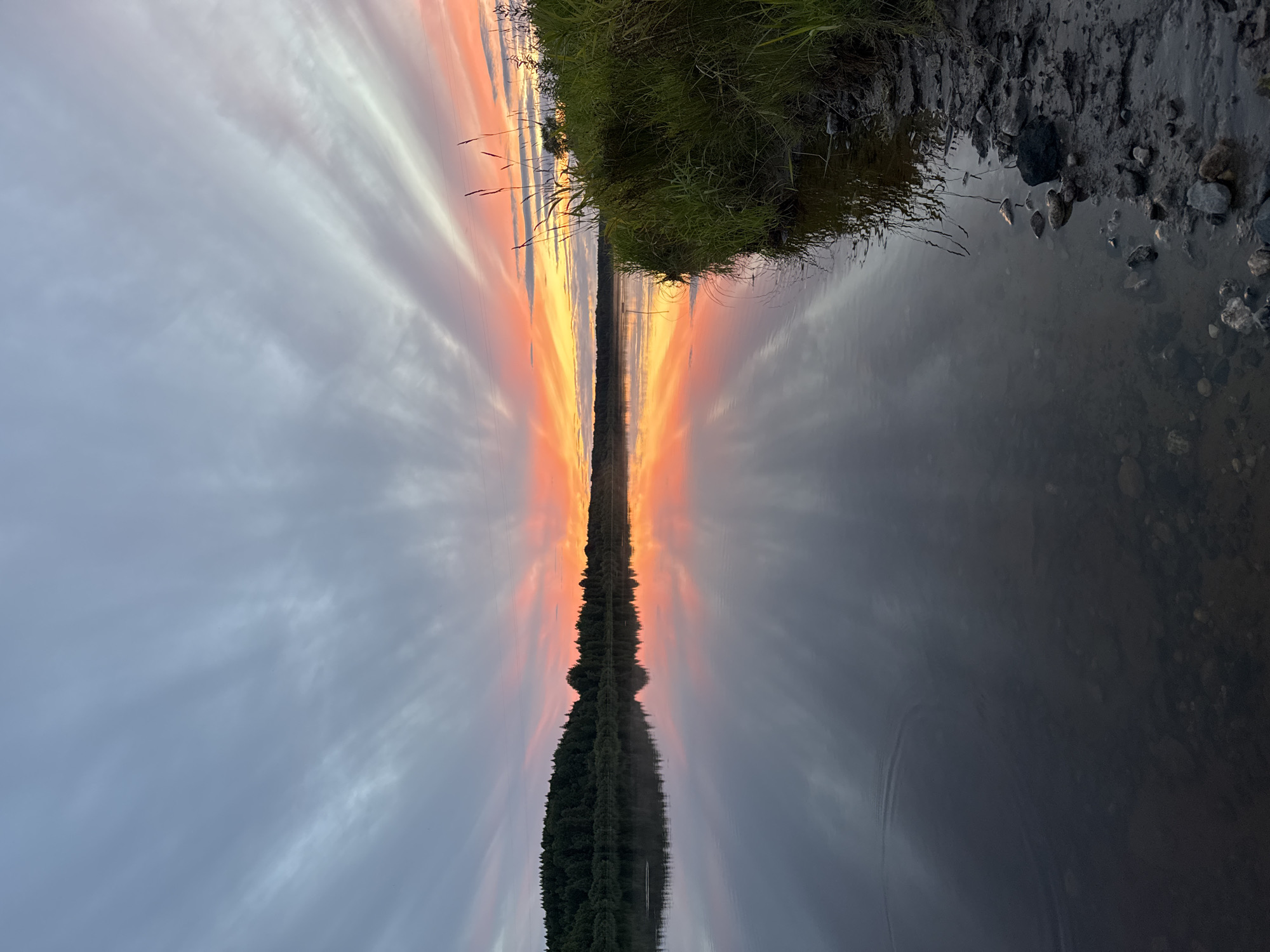 The image depicts a tranquil natural landscape at dusk. A wide, calm body of water, likely a river, occupies the foreground and middle ground. The water reflects the vibrant colors of the sunset, which paint the sky with hues of orange, yellow, and pink, contrasted by muted gray clouds. The far bank of the river is lined with a dense, dark green forest. On the right side of the image, tall green grass and reeds grow along the muddy bank, which is strewn with rocks. The overall impression is one of serene natural beauty at the end of the day. The location of Chizhikovo, Russia, is mentioned but not visually evident in the image itself. There are no people or animals visible in the scene, and no actions or interactions are taking place.