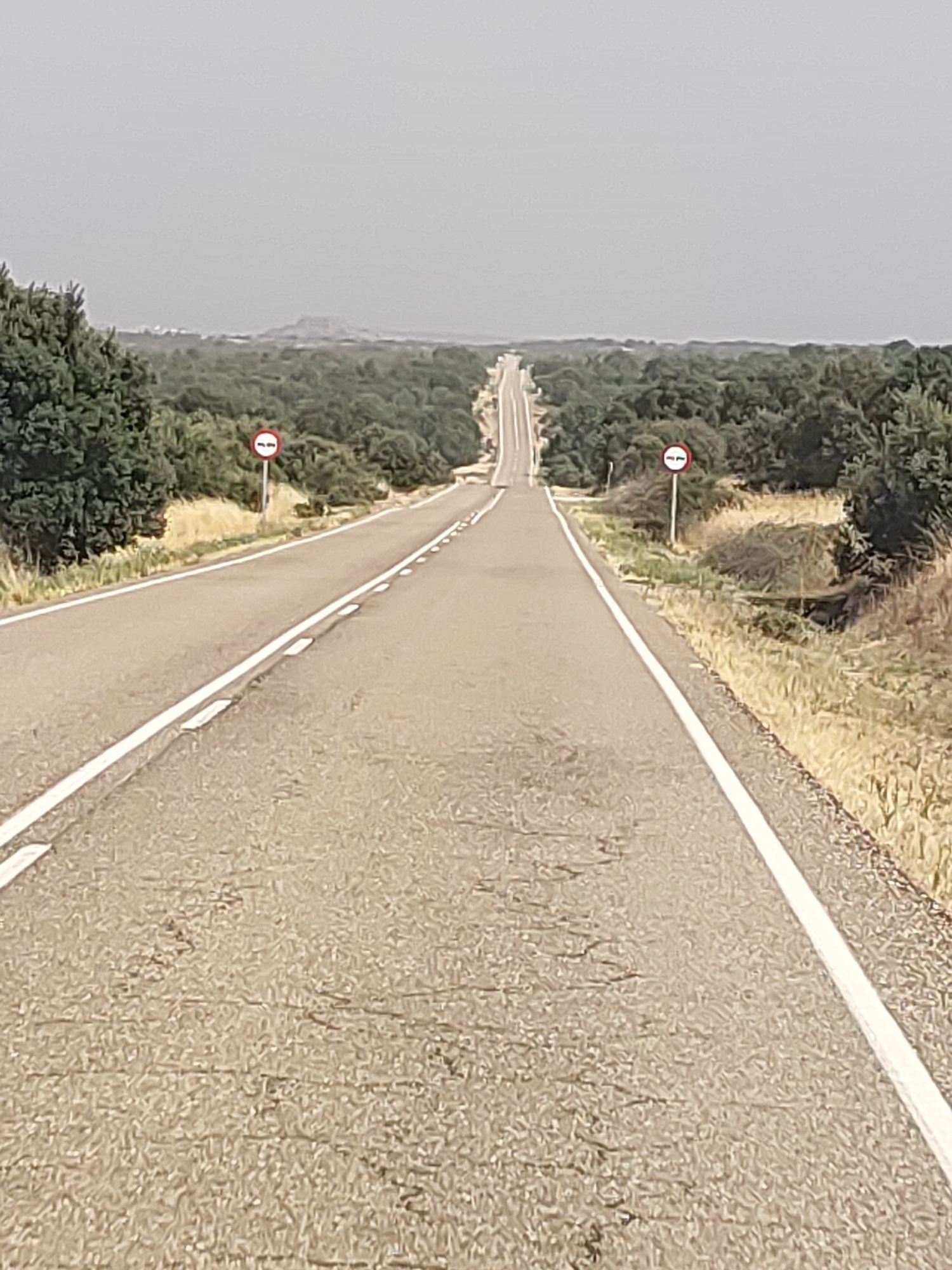 A paved road stretches into the distance, lined with white stripes. Dense green trees and dry grass border the road on both sides. The sky is overcast and hazy. On the left side of the road, a round sign with a red border and a white background, featuring two black figures, is visible. A similar sign is present on the right side of the road. The landscape appears to be rural.