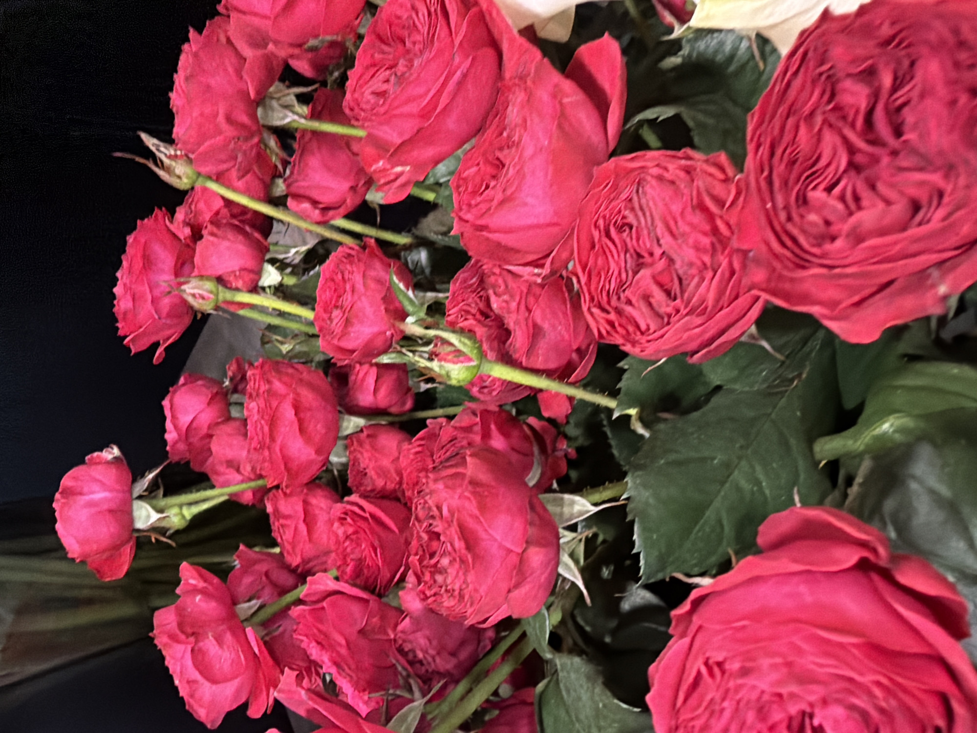 A close-up, vertical shot shows a bouquet of red roses against a dark, out-of-focus background. The roses vary in bloom, with some tightly budded and others fully opened, revealing their ruffled petals. The leaves are a deep green and appear lush. The lighting is dim, creating a dramatic effect on the vibrant red of the roses. The scene is static, with no visible people or actions. The location is unknown.