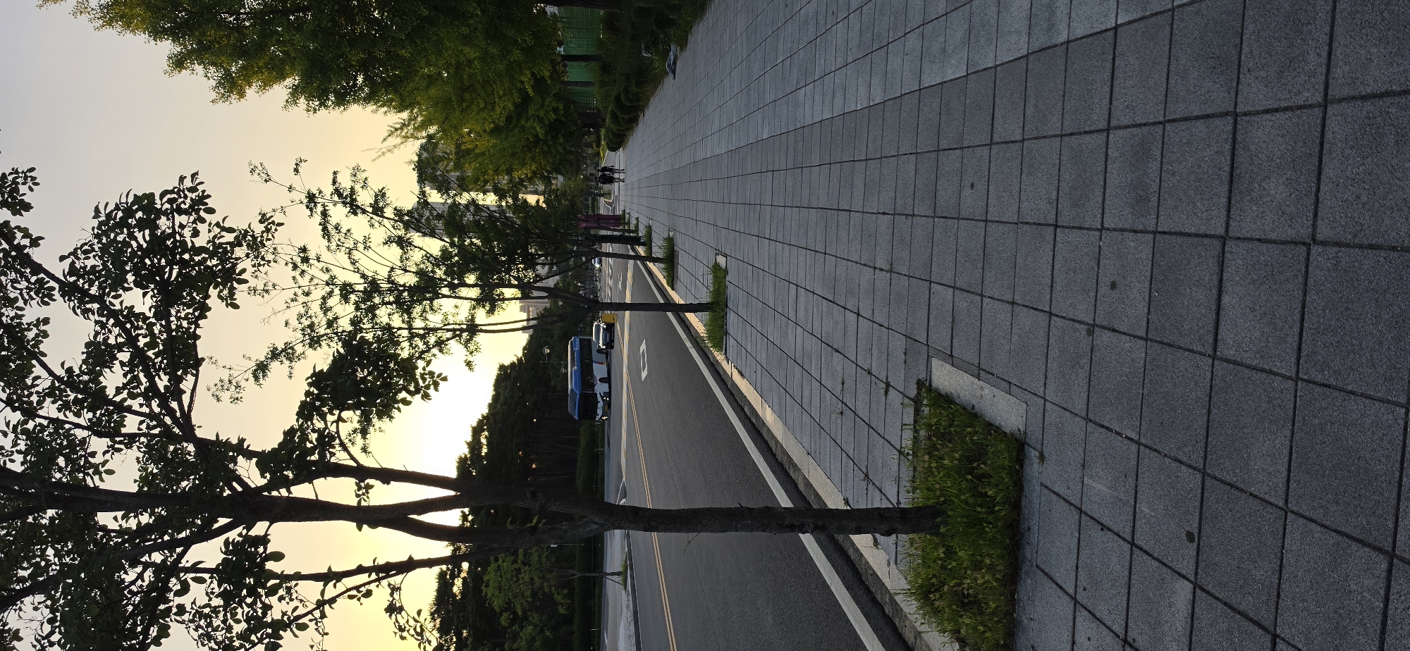 The image captures a street scene in Cheongju-si, South Korea, during what appears to be either dawn or dusk, given the warm, diffused light in the sky. A paved sidewalk, constructed with grey square tiles, runs along the right side of the frame, bordered by a grassy strip and young trees planted at intervals. Beyond the sidewalk, a dense line of trees and shrubs forms a green buffer.
On the left side of the image, a two-lane asphalt road is visible, marked with yellow and white lines. A white and blue bus is traveling on the road, accompanied by a black car behind it. Further down the road, another white car can be seen. In the distance, several tall buildings rise above the tree line, indicating an urban or suburban setting.
Two individuals are walking away from the camera on the sidewalk, appearing as silhouettes against the lighter background. The trees in the foreground, with their dark silhouettes and sparse leaves, frame the scene, adding a sense of depth and natural element to the urban environment. The overall atmosphere is calm and serene, suggestive of a quiet moment in the city.