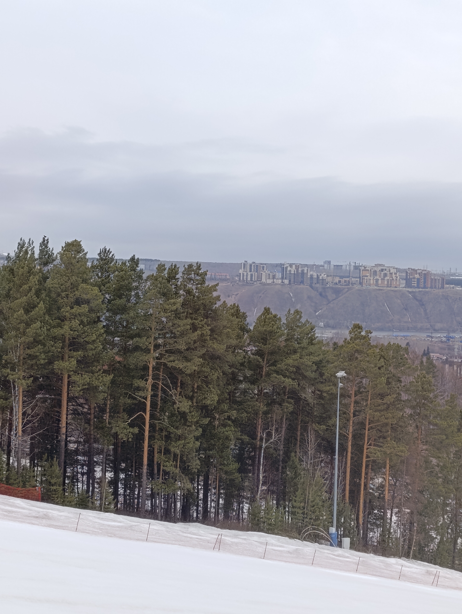 The image captures a winter scene on a snow-covered slope, likely a ski hill or park, in Krasnoyarsk, Russia. A line of coniferous trees dominates the midground, transitioning into a cityscape in the distant background. The sky is overcast. A single light pole stands amidst the trees. A low, white safety fence is visible along the base of the snowy hill.