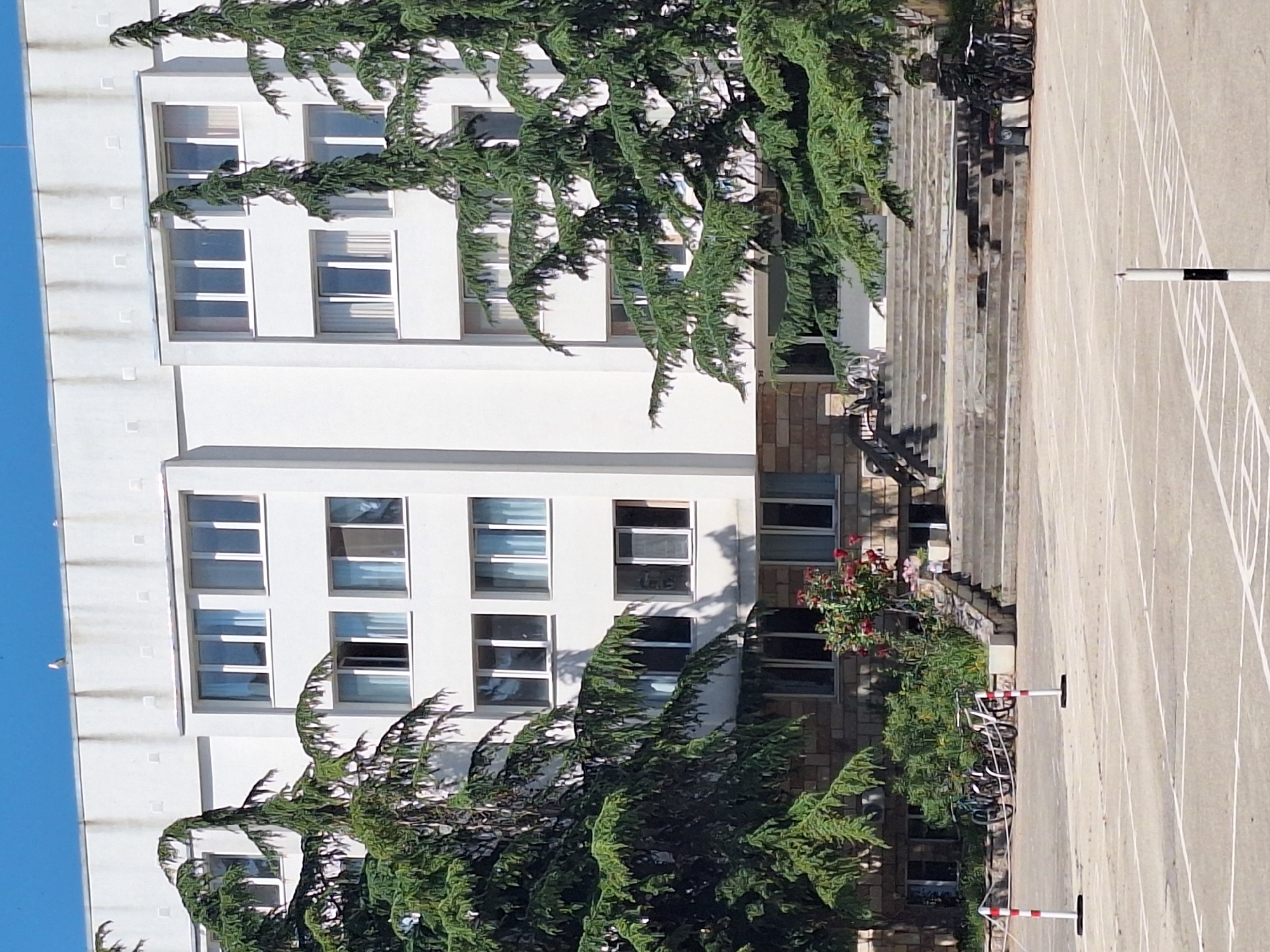 This media file depicts an outdoor scene with a modern building facade on the left and a paved area with white lines on the right. The building is multi-story with numerous windows, some open and some closed, reflecting the sky. Evergreen trees with dense foliage are prominently featured in the foreground, obscuring parts of the building and creating a dappled effect of light and shadow.
To the right of the building, there are a series of outdoor stairs leading up. At the top of these stairs, a row of bicycles is parked. The paved area to the far right appears to be a court or a parking lot, marked with white lines that suggest a sports court or parking layout. Two red and white striped bollards are visible on the paved area, one in the foreground and another further back. A single white pole with black bands is also present in the paved area.
A bush with red flowers is visible near the bicycles and stairs, adding a touch of color to the scene. The sky is a clear blue, indicating fair weather. The overall impression is of a daytime scene, possibly a school or a public building, in an urban or suburban setting. The presence of bicycles suggests student or public use. No people are clearly visible in the image. There is no discernible text in the media file. The location is specified as Varna, Bulgaria.