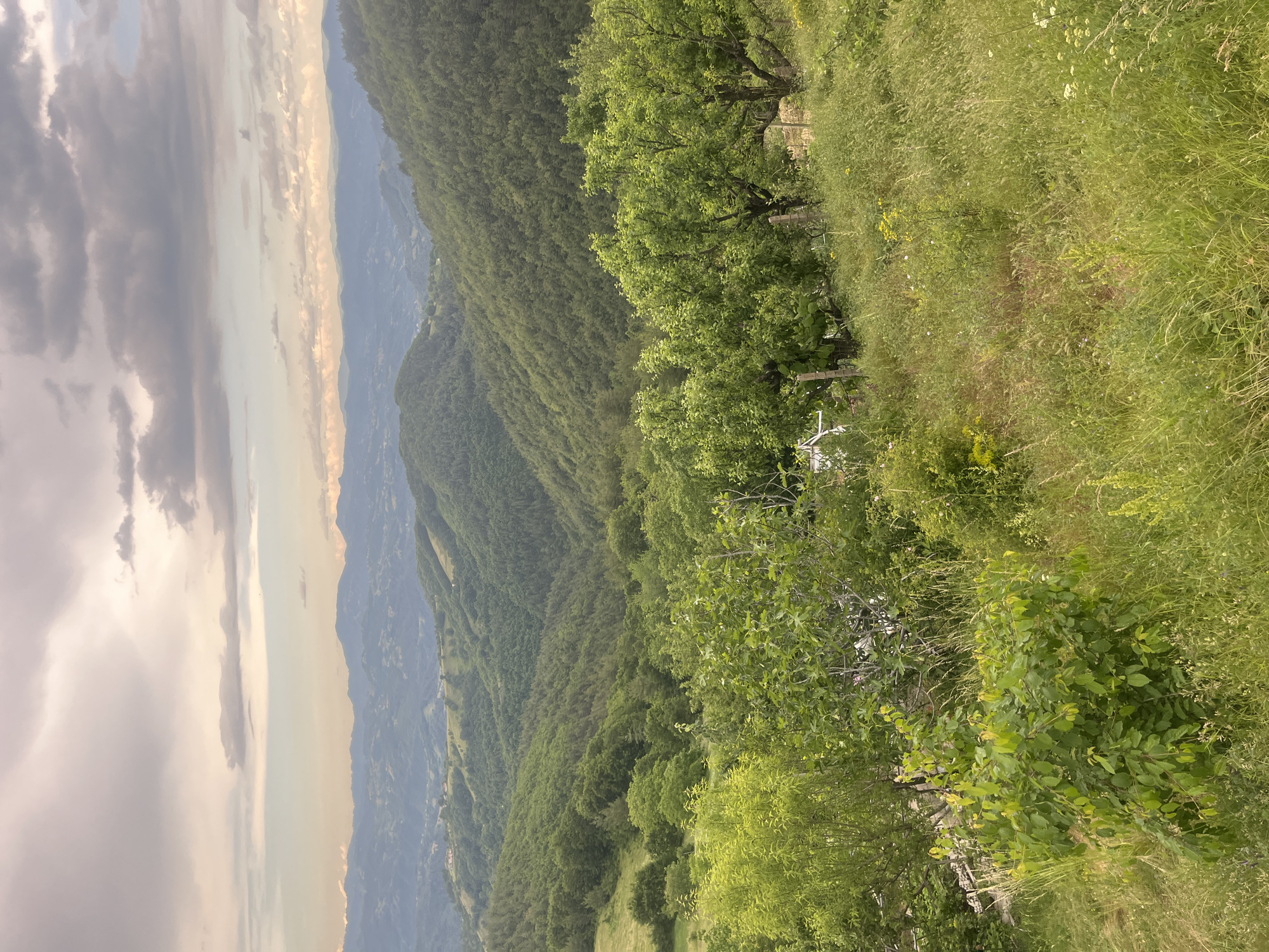 This is a landscape photograph taken in the city of Presoka, Bulgaria. The image depicts a vast expanse of rolling green hills covered in dense forest. In the foreground, there is a grassy slope with various trees and vegetation. A wooden fence runs horizontally across the middle ground. In the distance, layers of hazy blue mountains stretch across the horizon, and the sky is filled with soft, diffused clouds, suggesting either early morning or late afternoon light. There are no people or animals visible in the image.