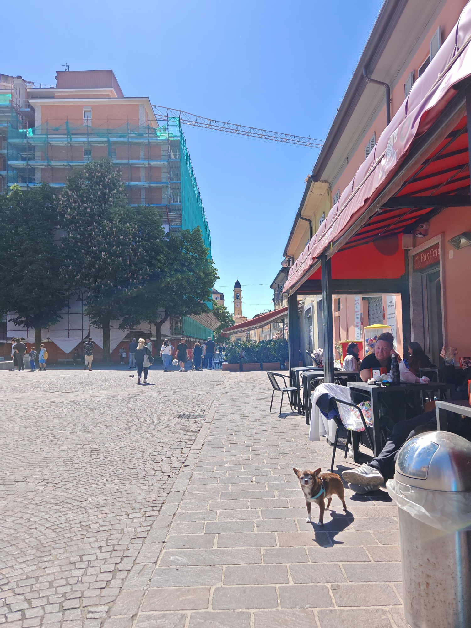 The photograph captures a street scene in an unidentified urban location on a sunny day. The left side of the frame shows a paved square with people walking in the distance and trees flanking the square. A large building under construction and covered in green netting is visible behind the trees, with a crane extending above it.
On the right, a row of buildings is lined with establishments featuring awnings, under which people are seated at tables. A small brown dog wearing a blue harness stands on the stone-tiled sidewalk in the foreground, near the outdoor seating area. A metallic trash receptacle is also situated in the foreground on the right. People are seated and conversing at the tables under the awnings.