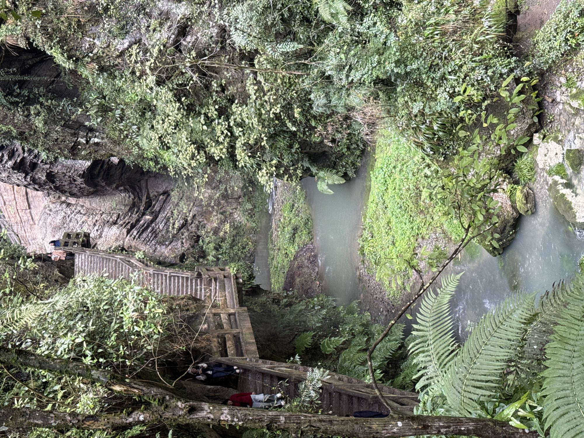 The scene depicts a deep gorge in the Wulong District, China, notable for its lush vegetation and tiered terrain. A cascading set of wooden stairs descends into the gorge, passing along the rock face. Two individuals are positioned on one section of the steps, while another pair is seated on a higher section, overlooking the scene. A small river or stream cuts through the base of the gorge. The rock formations are layered and textured, suggesting geological processes at work. The overall environment is characterized by dense greenery, including various types of plants and ferns.