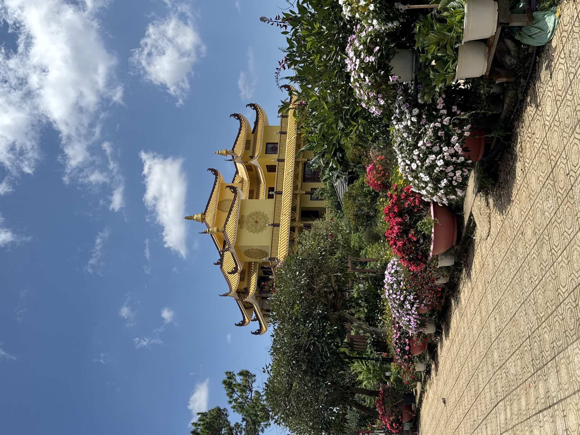 The image depicts a Buddhist temple in Da Lat, Vietnam, characterized by its prominent golden roof and intricate architectural details. The temple building is large and multi-tiered, with ornate eaves and decorative elements. In the foreground, a tiled walkway leads past a vibrant display of potted flowers, including pink, red, and white blooms, creating a colorful contrast with the temple's gold. Lush green trees and bushes surround the temple and the flower displays, suggesting a well-maintained garden setting. The sky above is a clear blue, dotted with white, fluffy clouds, indicating fair weather. The overall scene conveys a sense of tranquility and beauty, typical of religious sites and gardens in Da Lat. There are no people visible in the image.