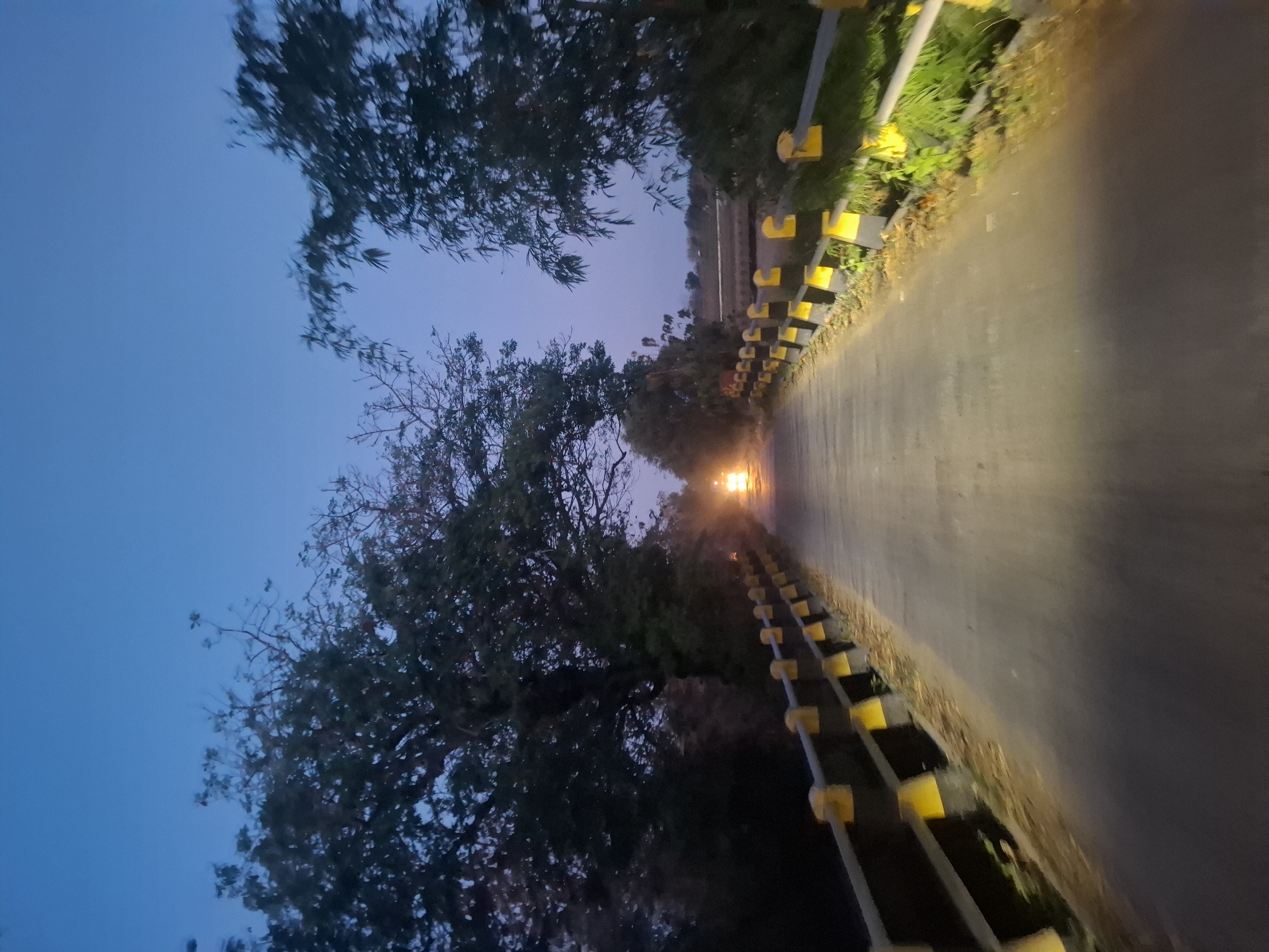 The image depicts a road leading over a bridge at dusk. The sky is a deep blue, transitioning from twilight to night. Trees line both sides of the road, with dense foliage obscuring the background. The bridge has a railing with alternating yellow and black posts, illuminated by what appears to be vehicle headlights in the distance. The road surface is asphalt and reflects the light from the approaching vehicle, creating a bright cone of illumination. The overall scene suggests a rural or suburban setting, possibly on the outskirts of Gampang Sejati, Indonesia, given the time of day and the road's infrastructure. There are no people visible in the frame, only the road, bridge, vegetation, and a distant vehicle.