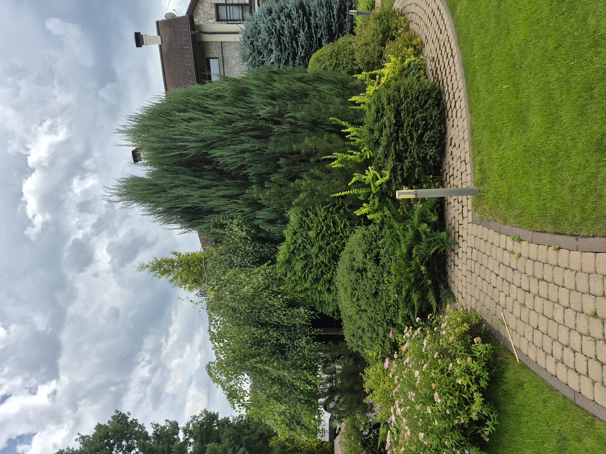 A curved stone pathway winds through a lush garden. The pathway is made of tan-colored pavers with a darker border. On the left, a bush with delicate pink flowers is in bloom. To the right of the pathway, a variety of evergreen shrubs and trees are densely planted. These include a tall, slender evergreen tree, a conical blue spruce, and several rounded, bushy evergreens. In the background, a large, multi-story house with a stone and brick facade is visible. The sky above is filled with dramatic, grey clouds. The scene appears to be an outdoor residential garden in Vlast Truda, Russia.