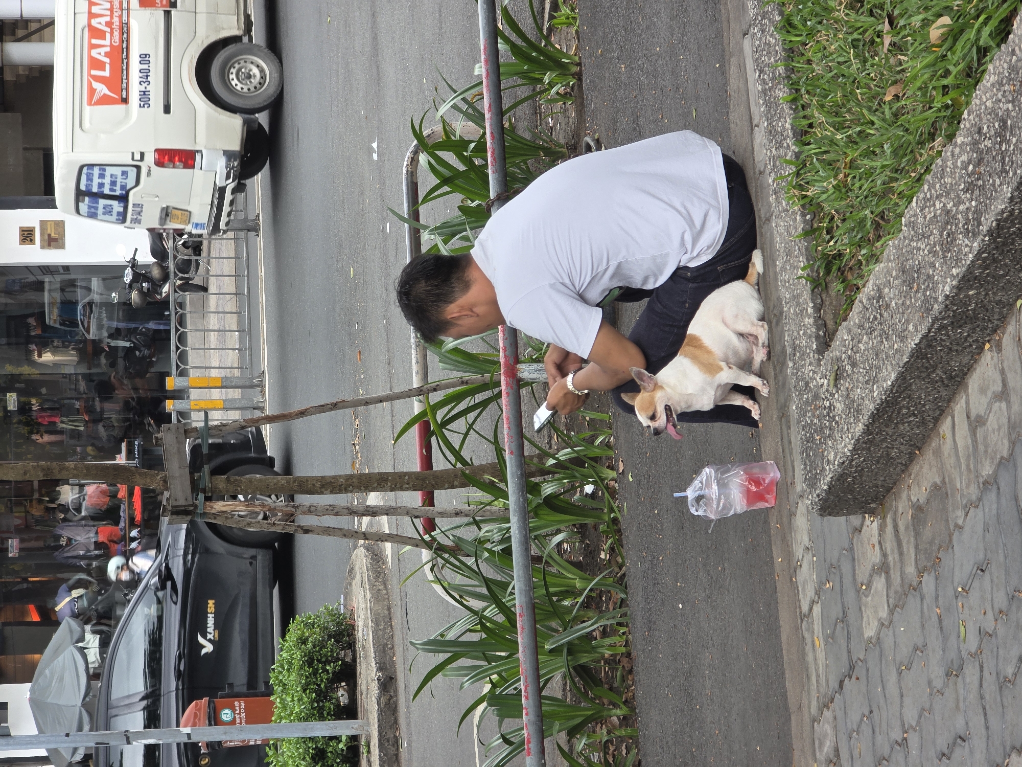 A medium-shot depicts a man interacting with a small dog at street level in what seems to be Thủ Đức, Vietnam, as inferred from the context provided. The man, wearing a white t-shirt and dark jeans, is crouched down and appears to be using his mobile phone near the dog. The dog, of small breed and light-colored fur with brown patches, has its tongue hanging out. A plastic bag containing a red drink with a straw is next to the dog. The street environment includes a concrete curb, a grassy patch, and vertical red metal bars which may be part of a fence or barrier. In the background, partially obscured by trees and a metal barrier, are vehicles, a store with signage, and other signs of a bustling urban environment. Notable among these are a black "Xanh SM" car, a white "LALAM" delivery truck, and a sign with the number "261".