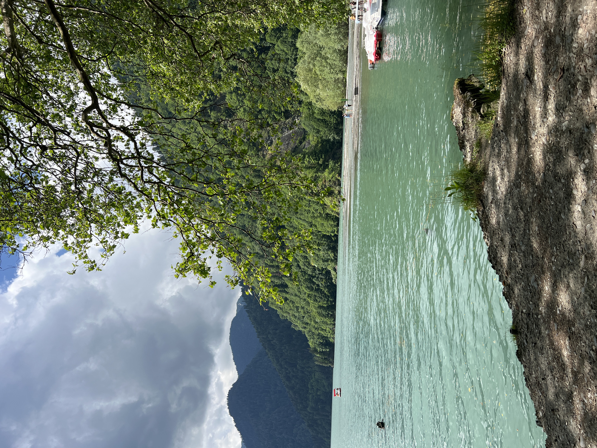 The image depicts a serene lake scene in Abkhazia. The lake's water is a vibrant turquoise, reflecting the cloudy sky above. Lush green mountains, densely covered with trees, form a dramatic backdrop to the lake. In the foreground, the shoreline is a mix of gravel and dirt, with some vegetation growing along the edge.
On the water, a small red and white boat is visible, and further out, another boat appears to be a paddleboat. Closer to the shore, on a sandy strip, a few individuals are standing. To the right, several white boats with red accents are docked. A portion of a tree with green leaves and branches is visible in the upper right corner of the frame, casting shadows on the foreground. The overall atmosphere is tranquil and natural.