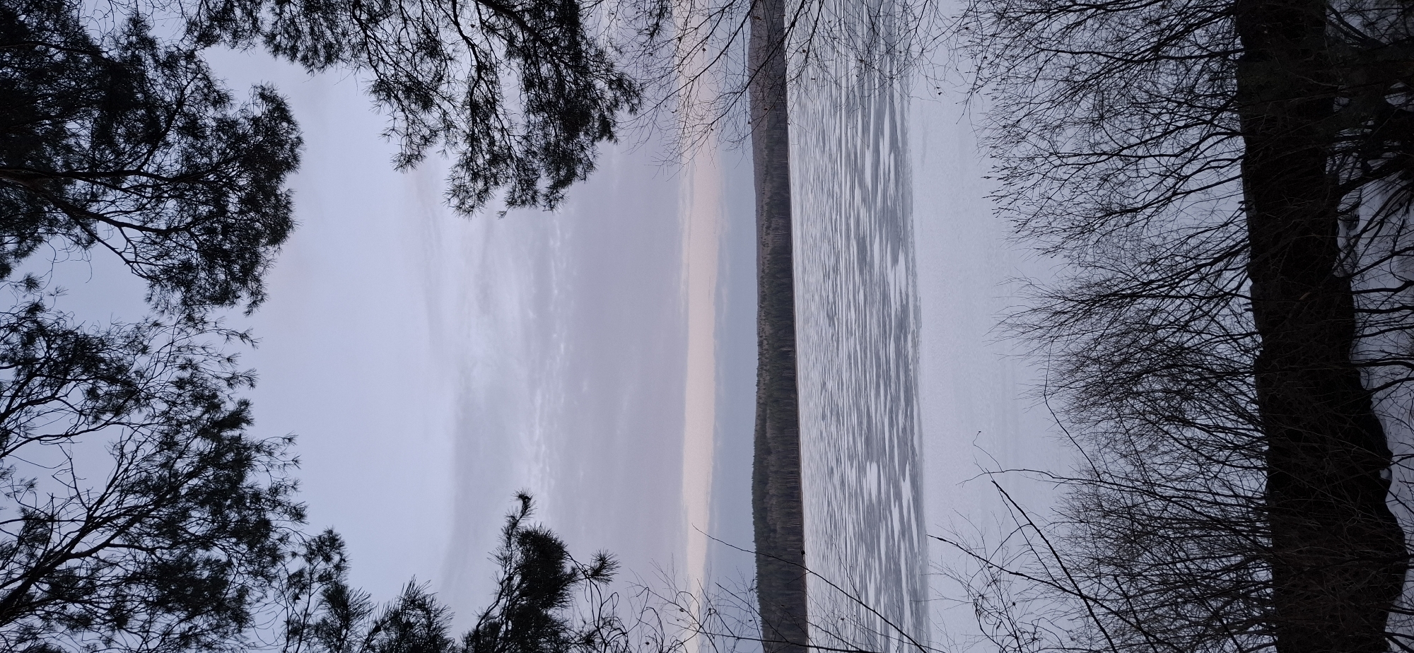The image shows a partially frozen body of water framed by bare trees on either side. On the left, dark pine trees with dense foliage reach upwards. On the right, thinner trees with bare branches fill the frame. In the distance, a strip of land covered in trees and foliage. The sky above is overcast. The photograph appears to have been taken at the Shirokovskoye Reservoir, near the city of Chaikovsky, Russia.