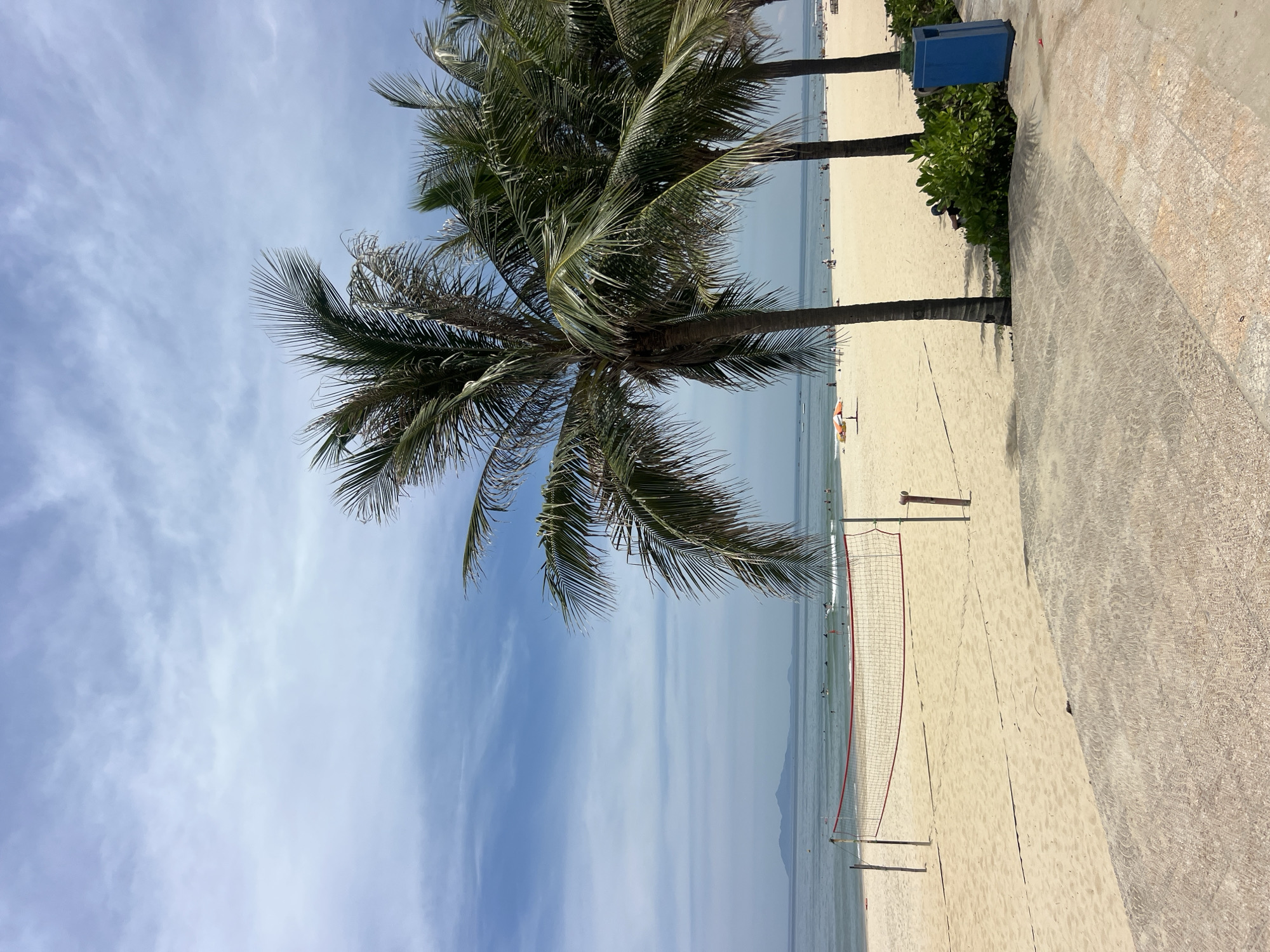 A serene beach scene unfolds under a partly cloudy sky. In the foreground, a sandy beach stretches towards the ocean, marked by a volleyball net and its poles. Palm trees with lush green fronds line the edge of the beach, casting dappled shadows on the sand and the paved walkway that borders the scene. The ocean is calm with gentle waves, and in the distance, hazy mountains rise from the horizon. Several people are visible on the beach and in the water, some appearing to be swimming or engaging in water sports. A blue trash receptacle stands to the right of the frame, adjacent to a dense patch of green foliage.