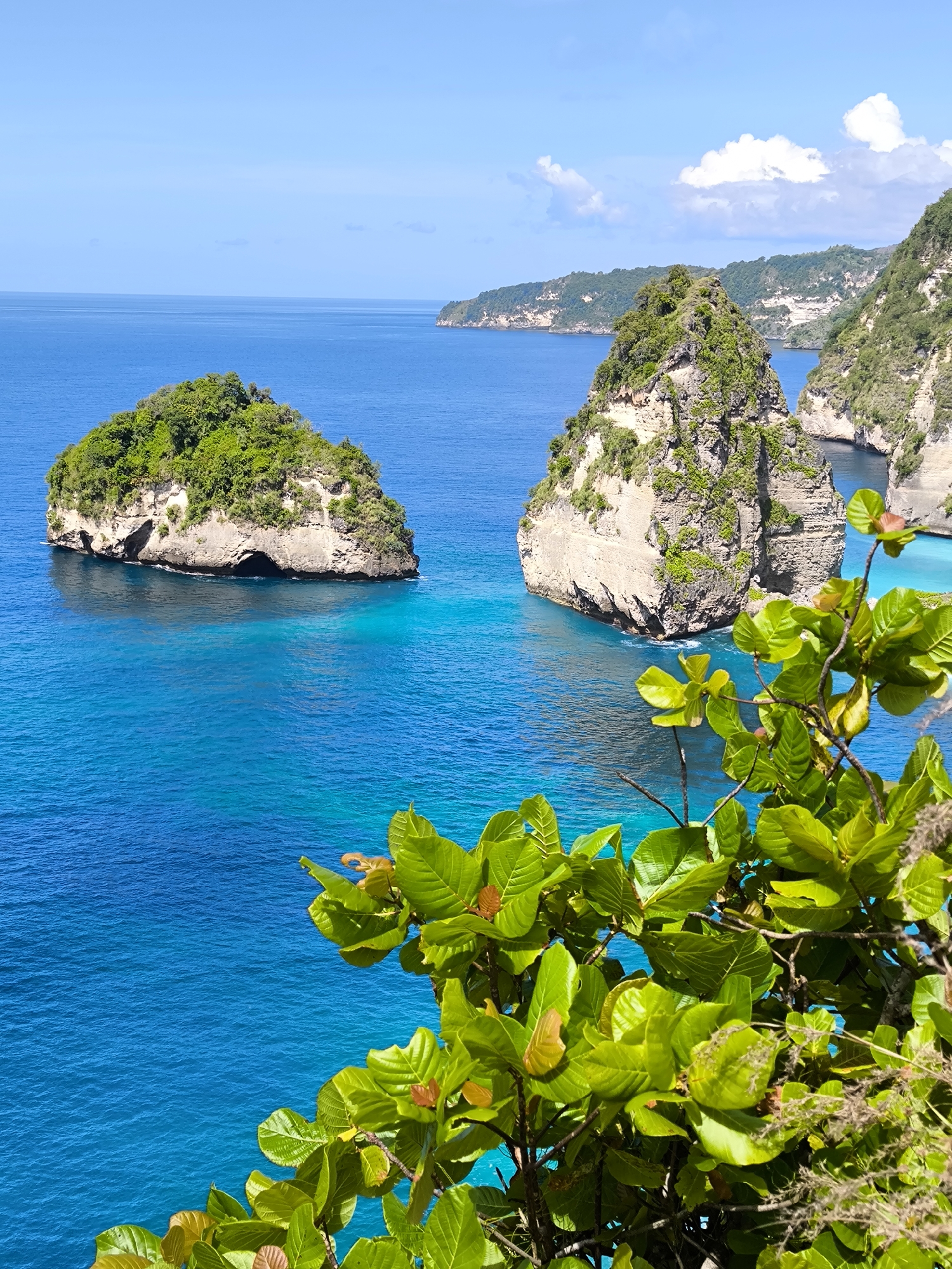 The image captures a view of the coastal landscape in Nusa Penida, Indonesia, focusing on two prominent rock formations rising from the turquoise water. One rock formation, located to the left, is topped with lush green vegetation and has a cave-like structure near its base. The other is taller, displaying layers of light-colored rock with patches of greenery. A third rock formation is visible further back. In the foreground, a leafy green tree branch occupies the lower right portion of the frame, partially obscuring the view. The clear blue sky is partly covered with scattered white clouds. The ocean stretches to the horizon, where the coastline of another island is visible.
