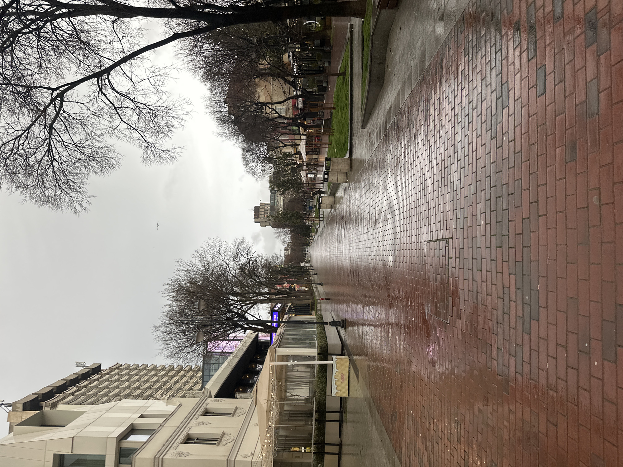 The image shows a street scene in Varna, Bulgaria, on a wet day. The ground is paved with red and gray bricks, reflecting the overcast sky and streetlights. Bare trees line the street, their branches reaching across the sky. Buildings are visible on both sides, including a taller, modern structure on the left. Street furniture, such as benches and trash bins, are spaced along the walkway. A few awnings are visible.